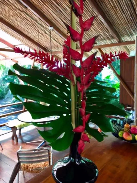 Mar Verde Lodge