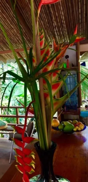 Mar Verde Lodge