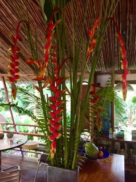 Mar Verde Lodge