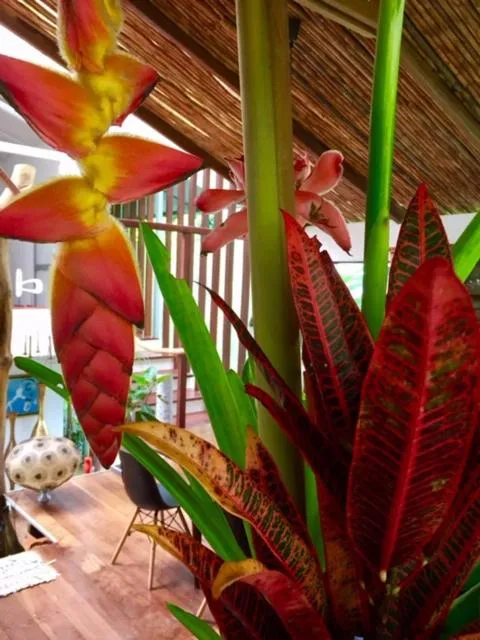 Mar Verde Lodge