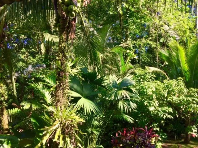 Mar Verde Lodge