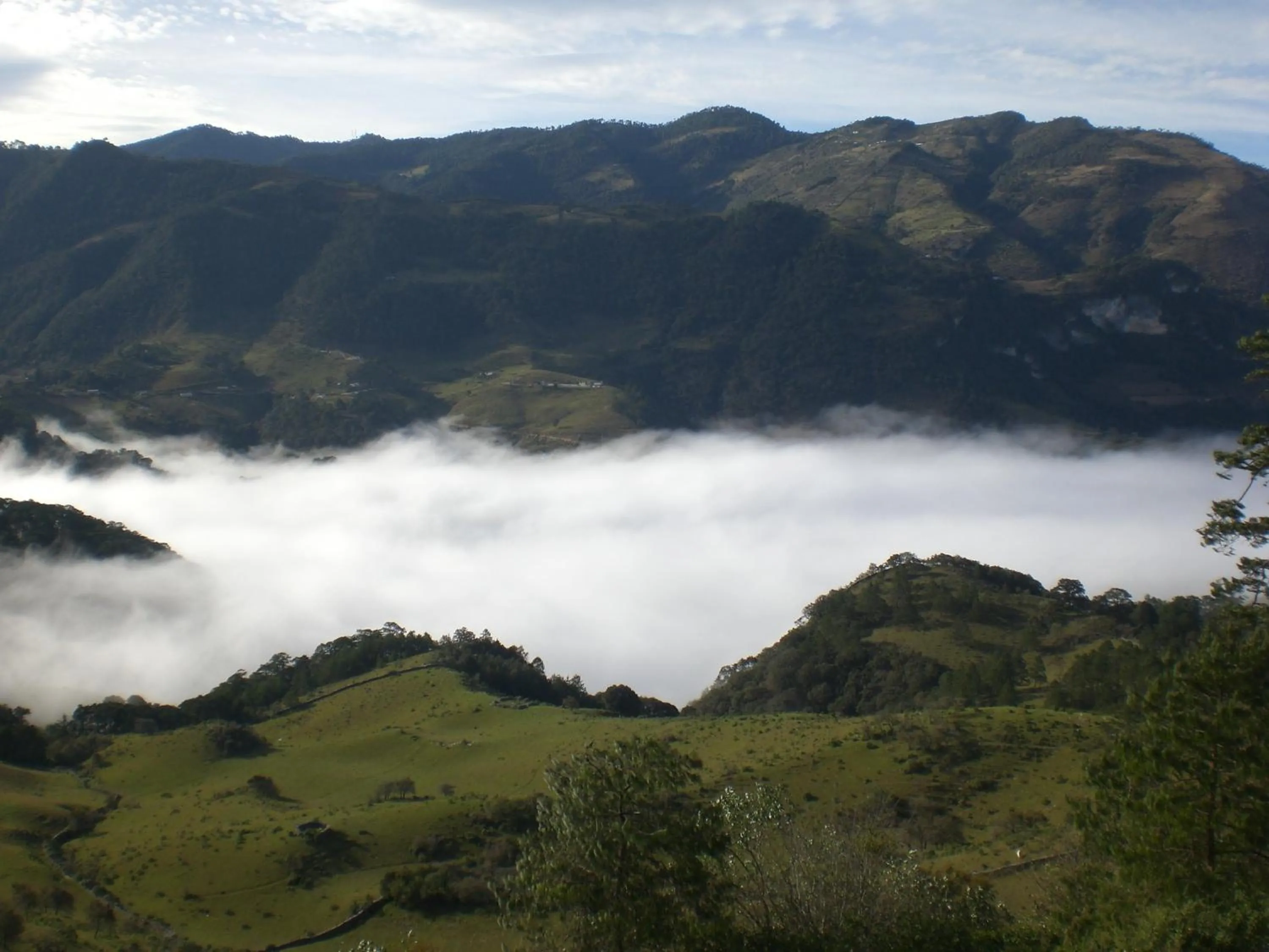 Natural landscape in Cabañas 5 Pinos