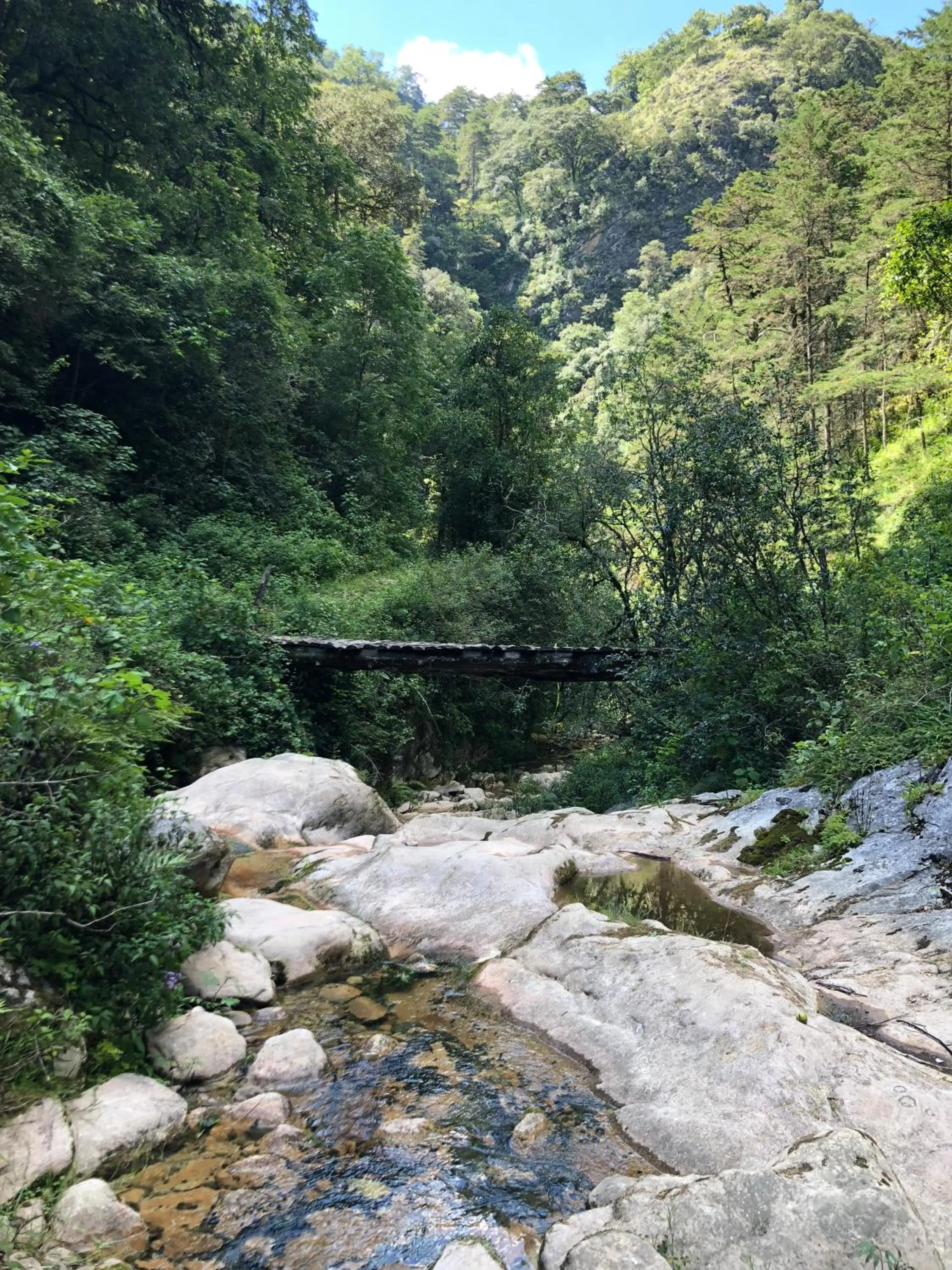 Natural landscape in Cabañas 5 Pinos