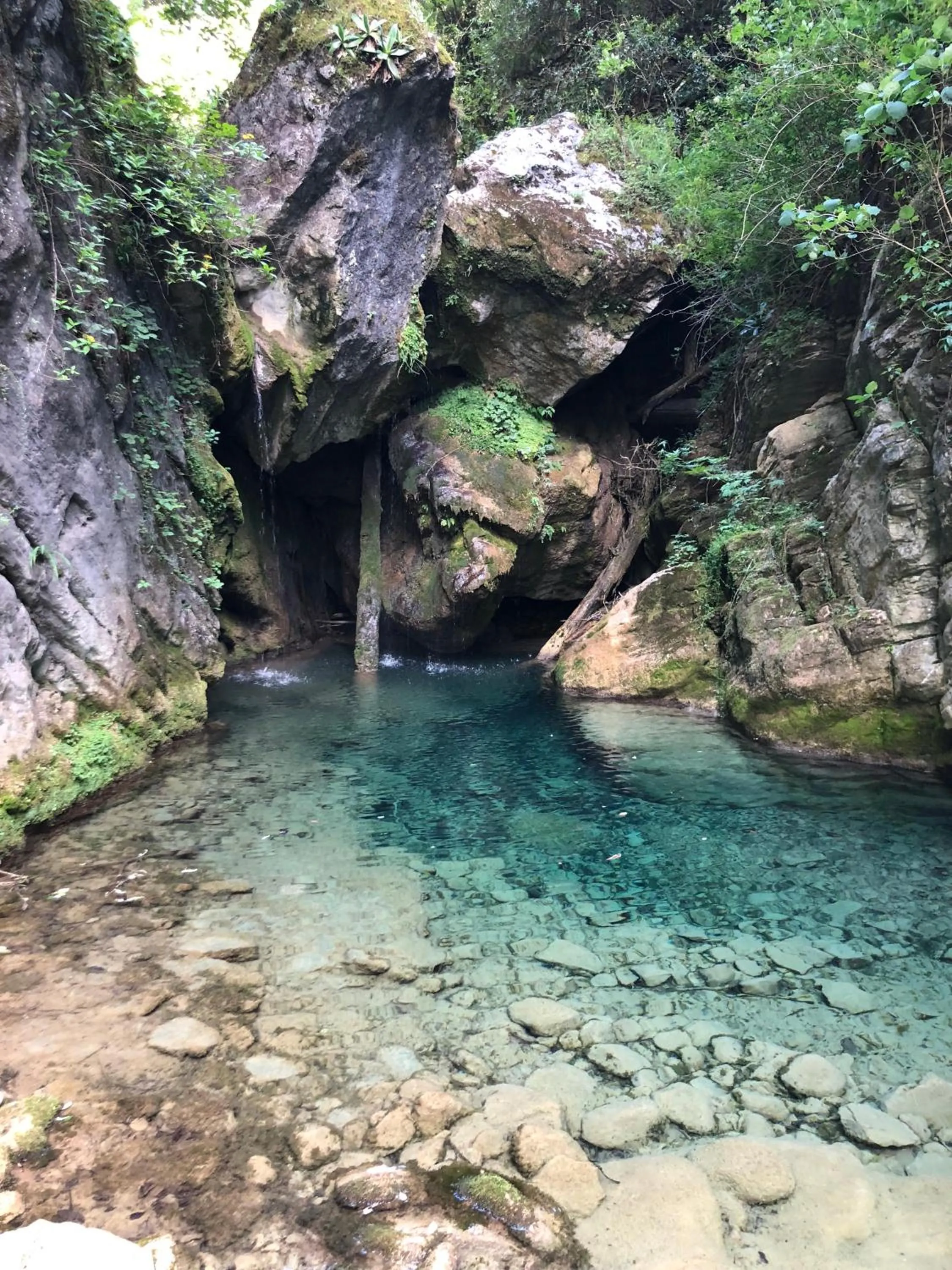 Natural landscape in Cabañas 5 Pinos