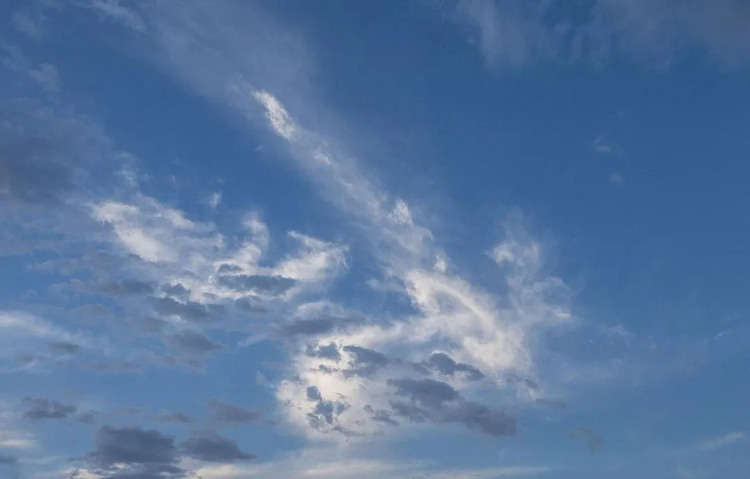 Other in Turtle Back Mesa Bed and Breakfast