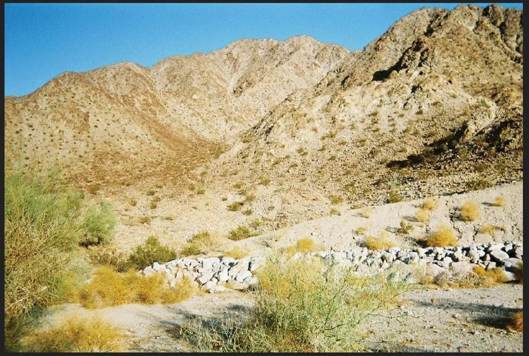 Day in Turtle Back Mesa Bed and Breakfast