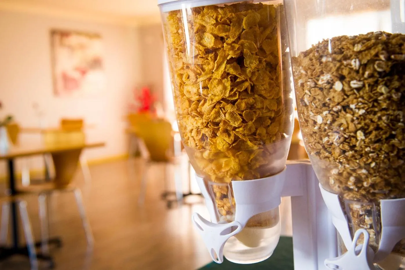 Food close-up in Cherry Blossom Motor Inn