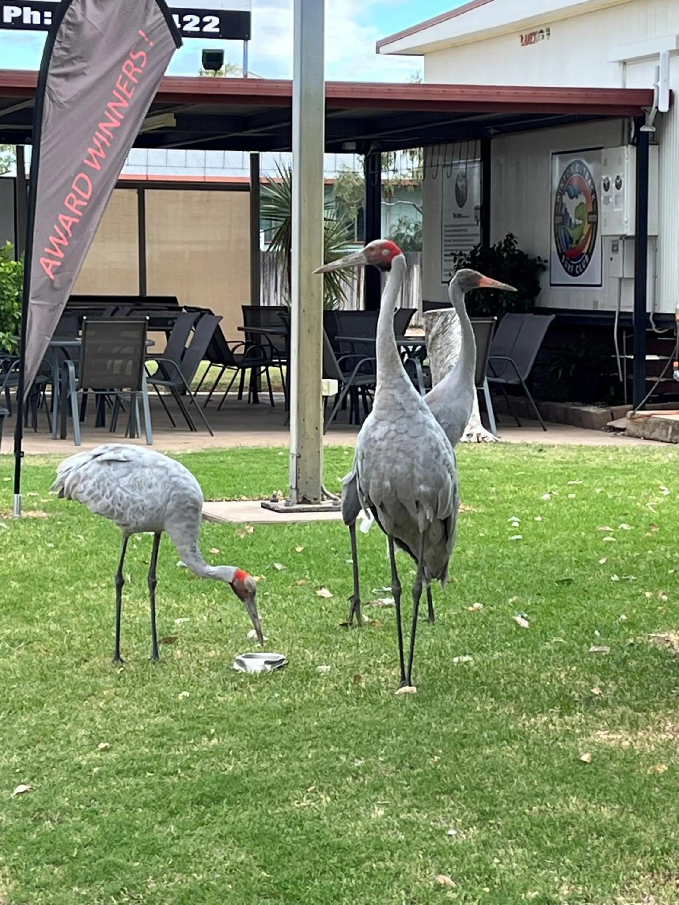 Entertainment in Winton Outback Motel