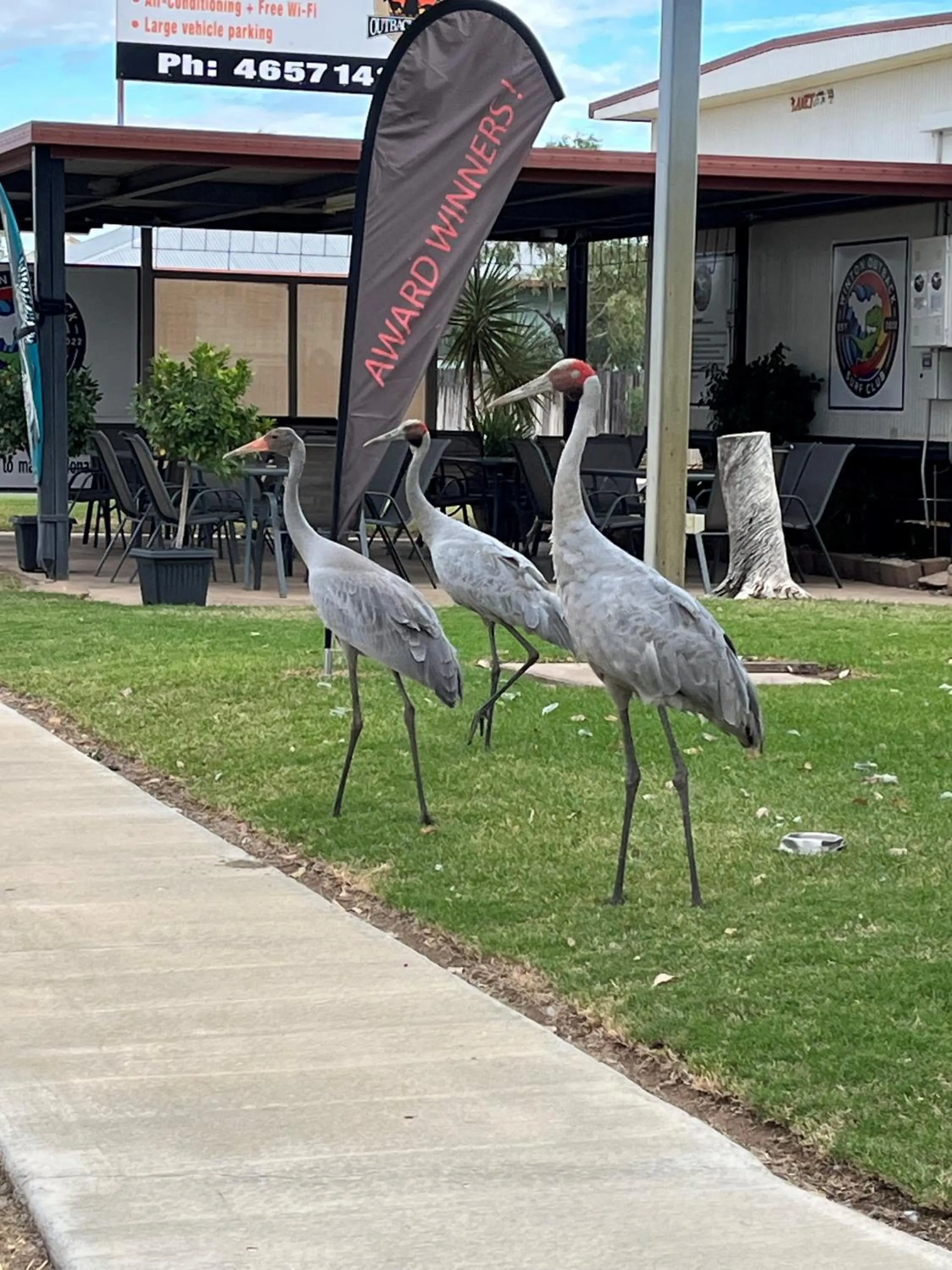 Entertainment in Winton Outback Motel