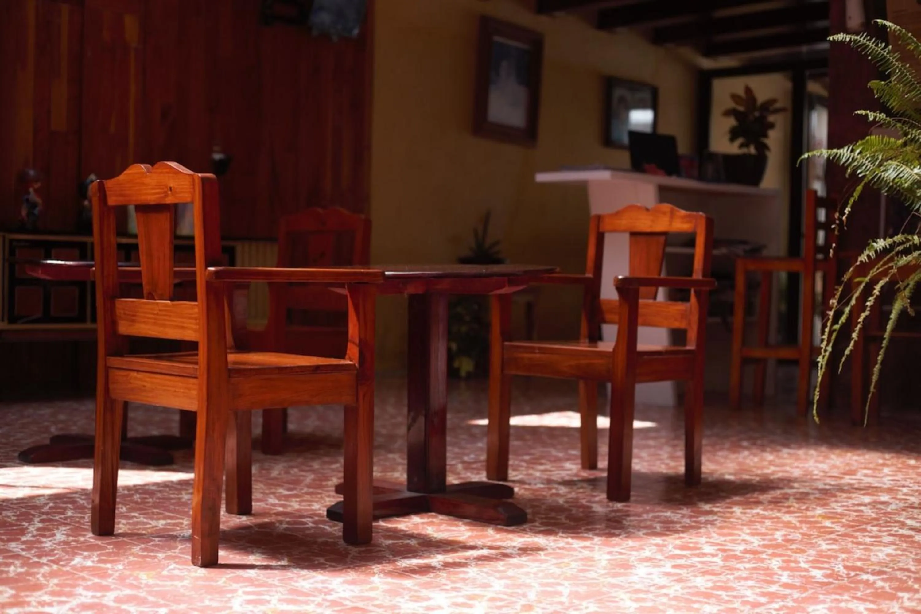 Area and facilities in Capital O Casa Rotter