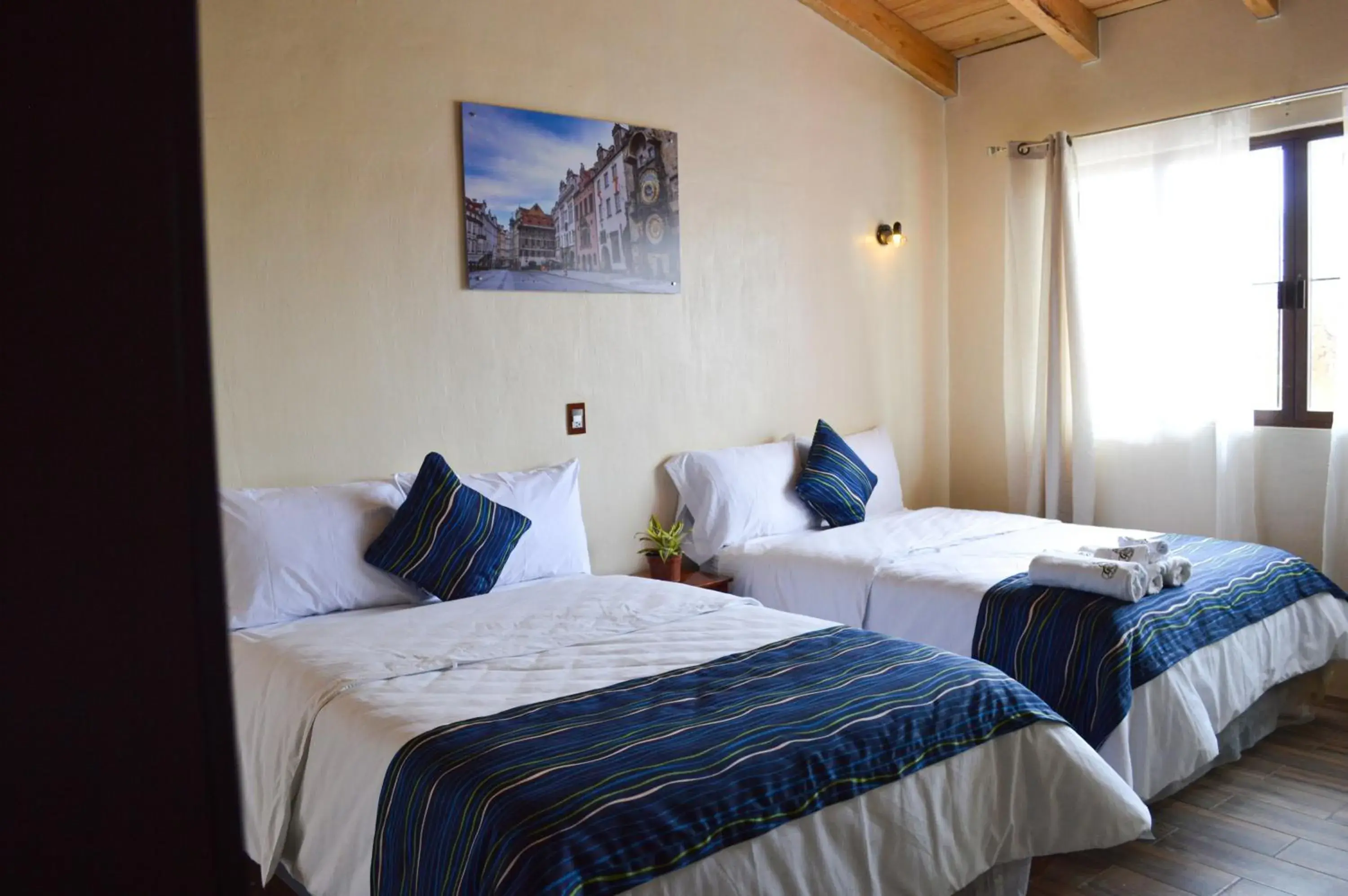 Standard Two Beds - single occupancy in Capital O Casa Rotter Standard Two Beds - single occupancy in Capital O Casa Rotter