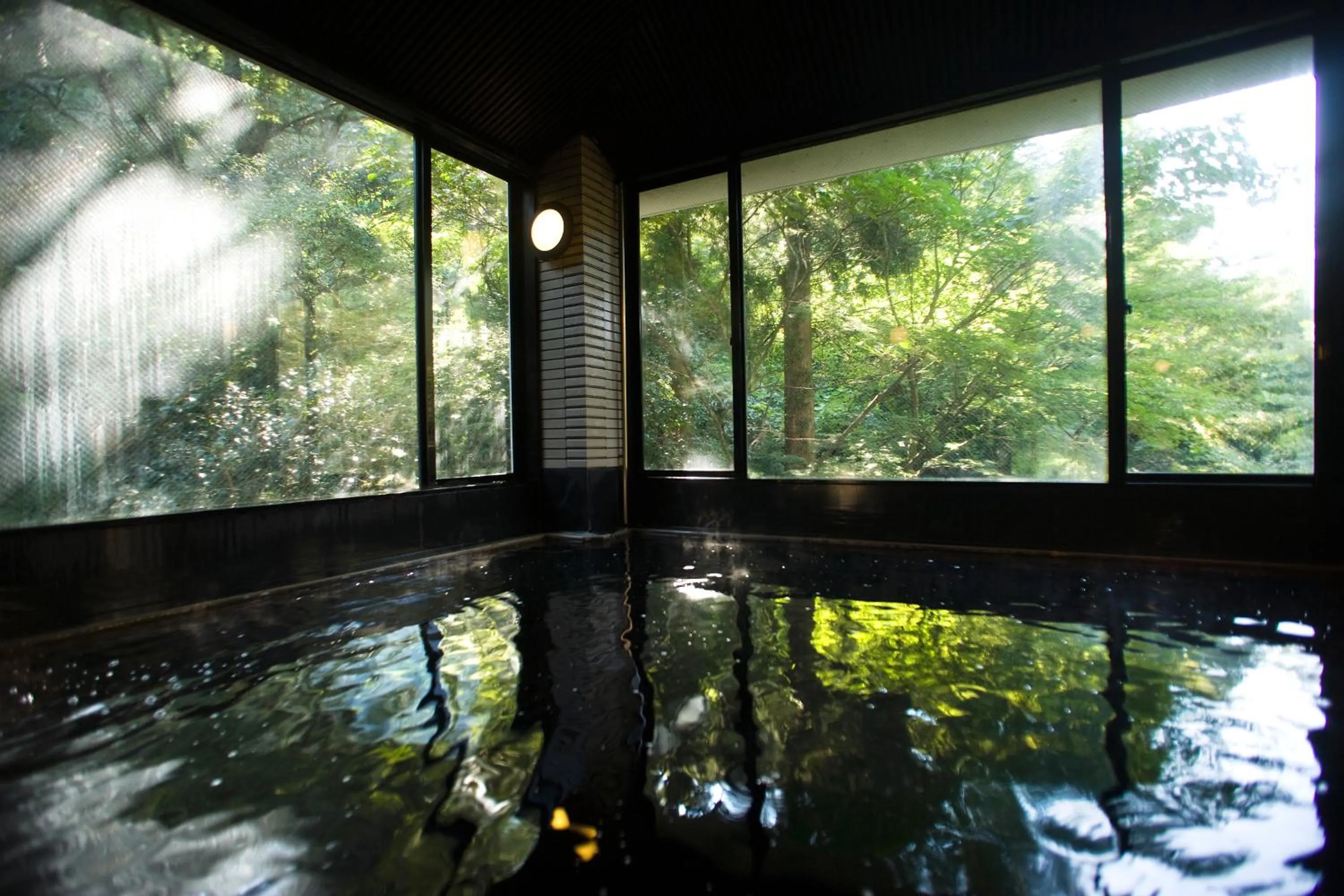 Hot Spring Bath in Motoyu Ishiya