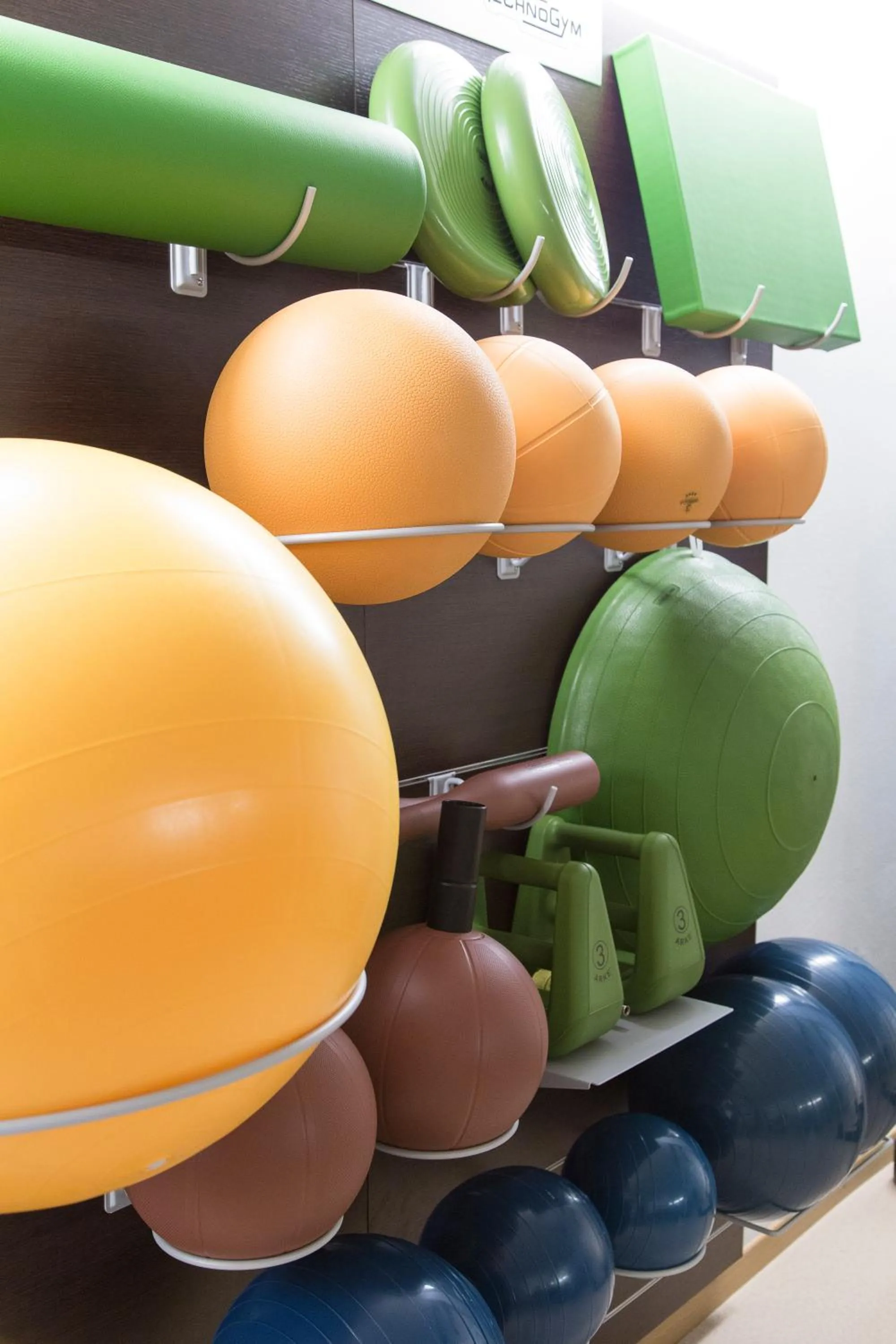 Fitness centre/facilities in Mountainlodge Luxalpine
