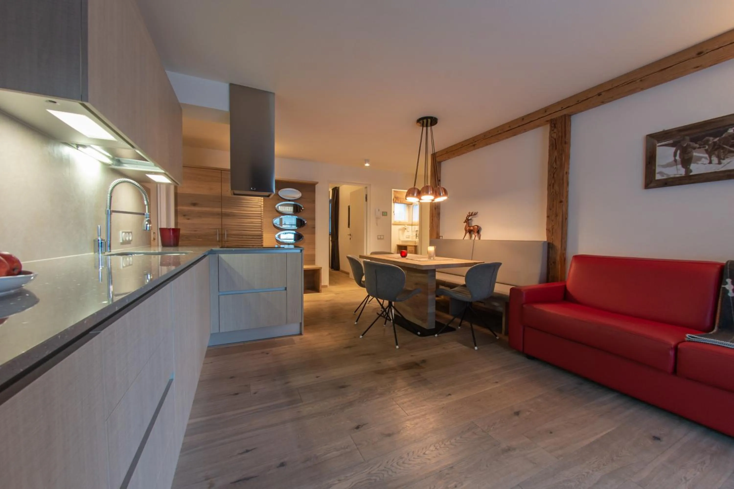 Kitchen or kitchenette in Mountainlodge Luxalpine