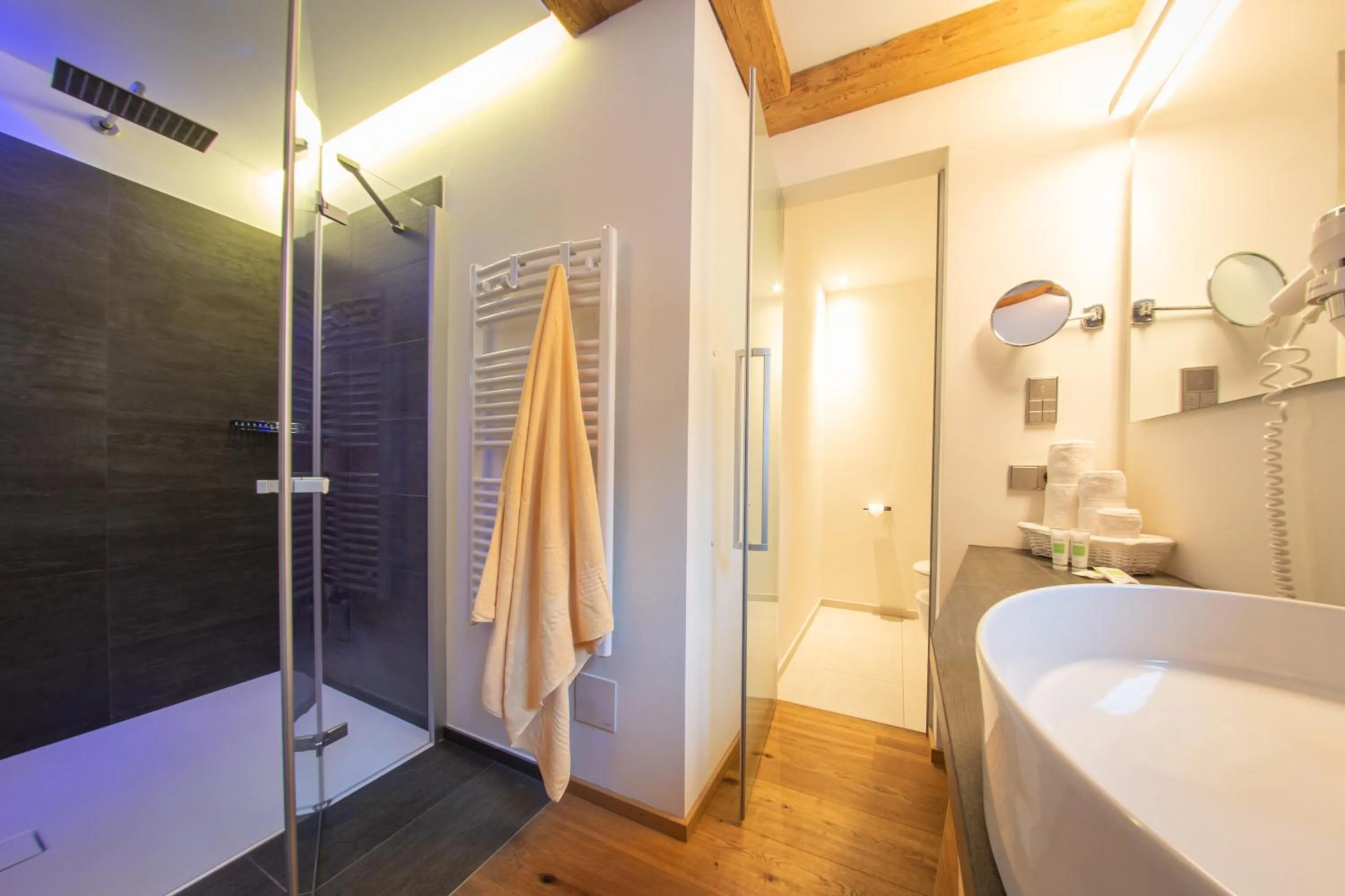 Shower in Mountainlodge Luxalpine
