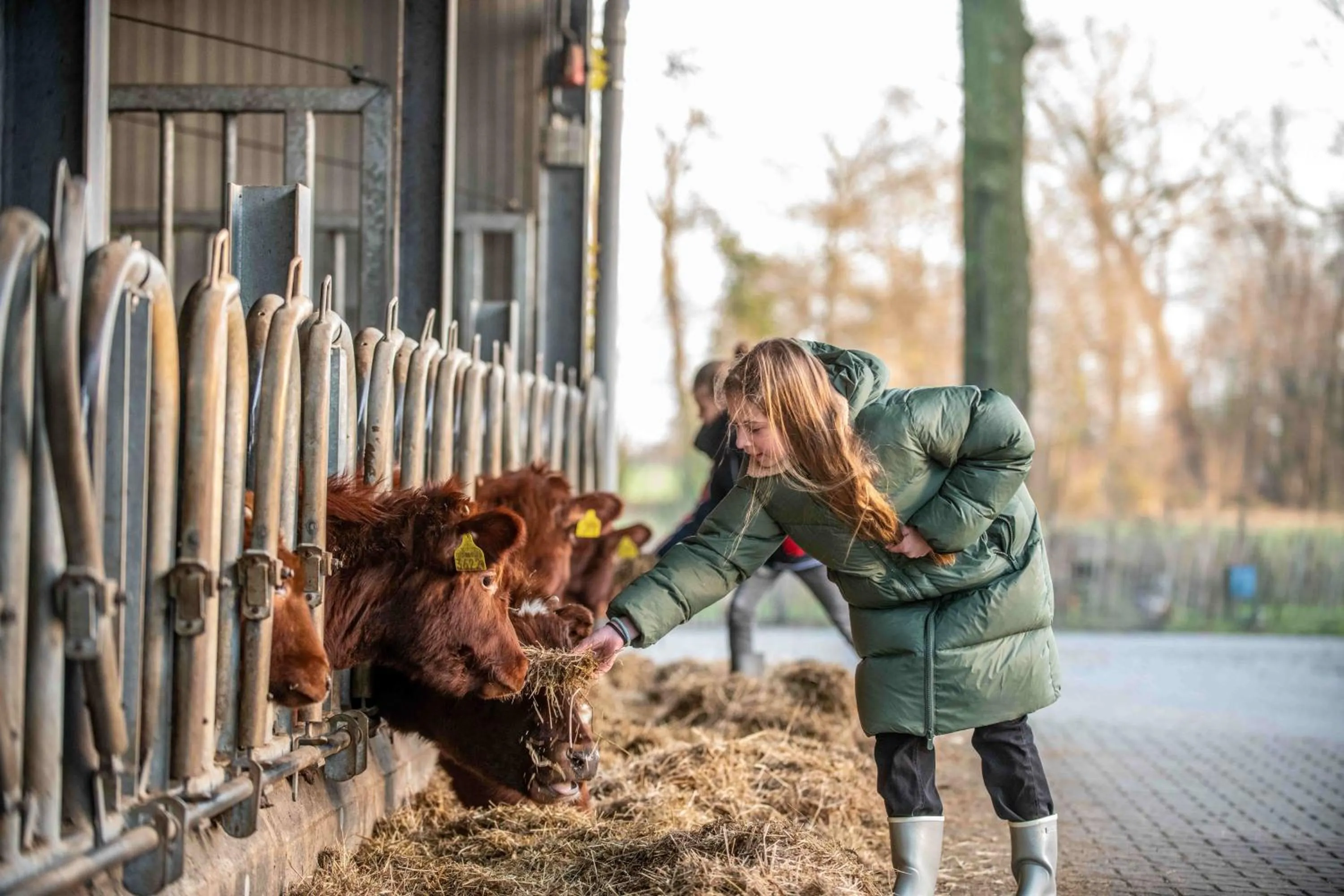 Restaurant/places to eat in Erfgoed Bossem