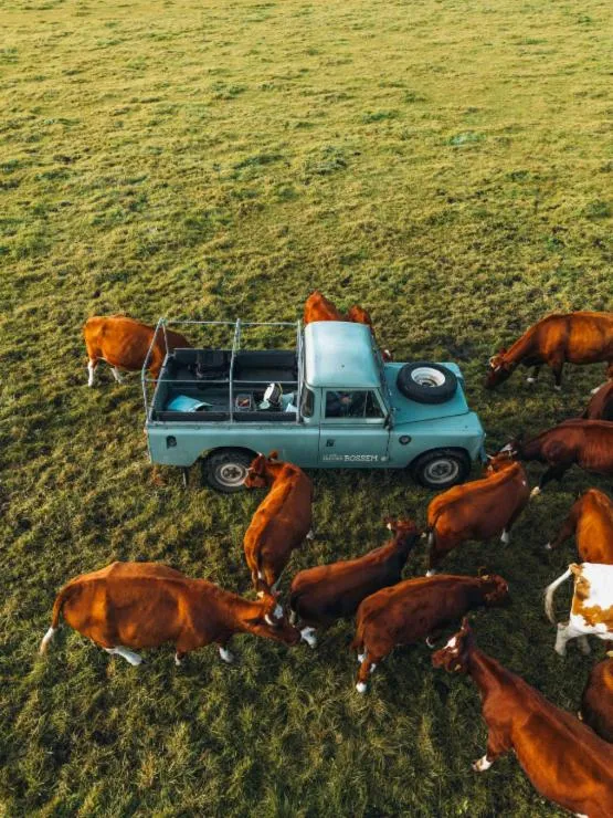 Day in Erfgoed Bossem