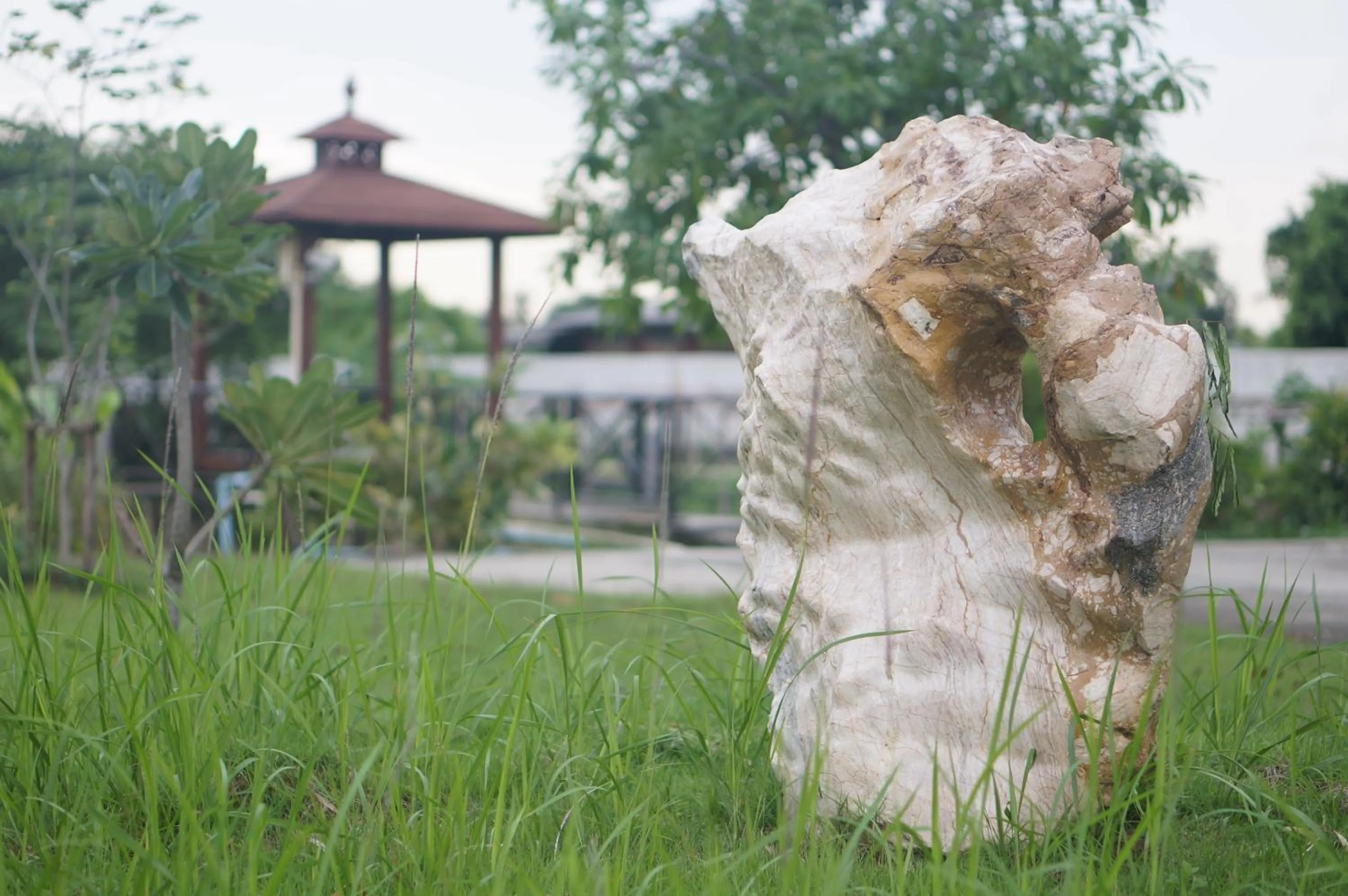 Garden in Thaihome Resort