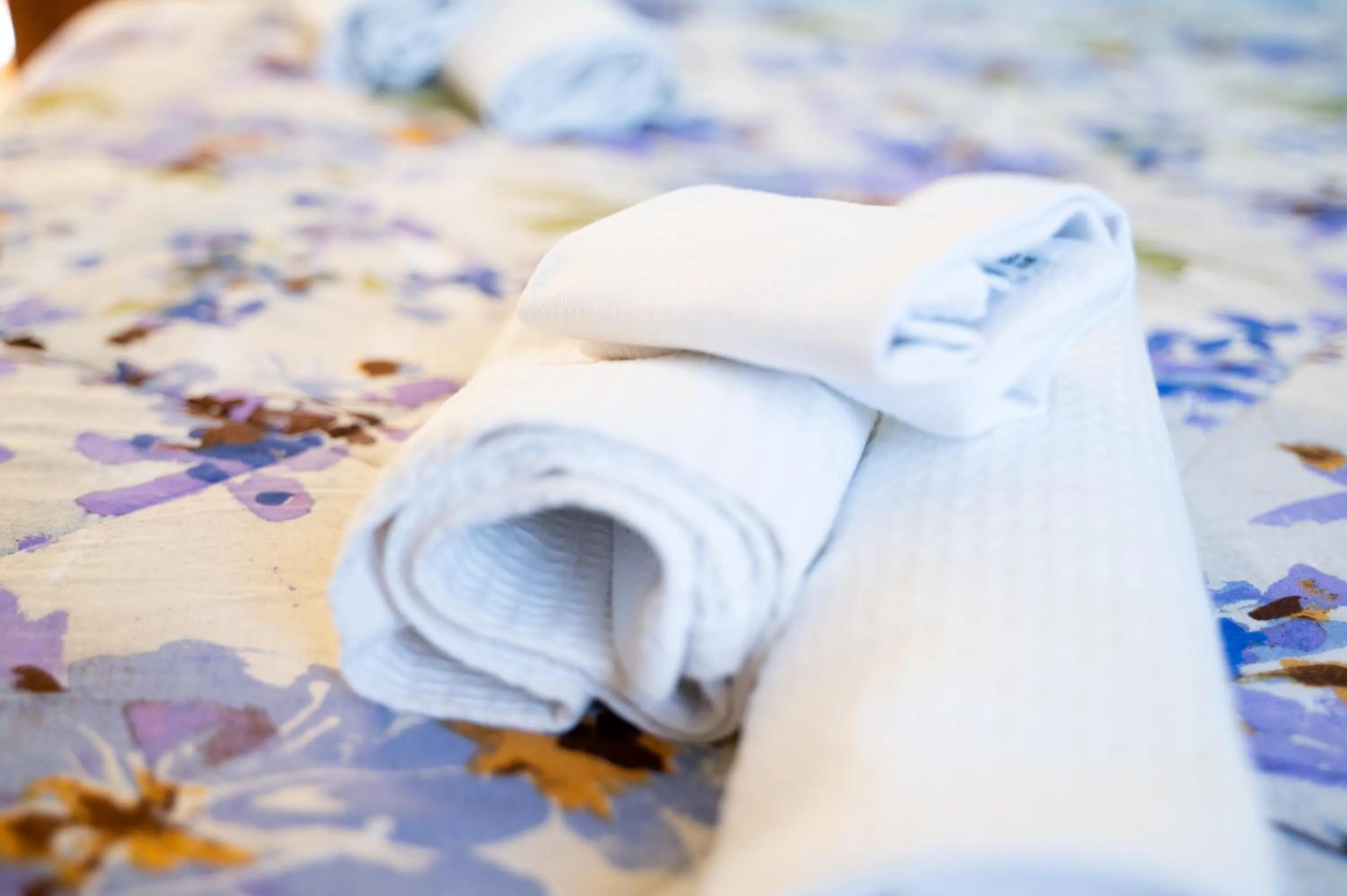 Agriturismo Casa Scola