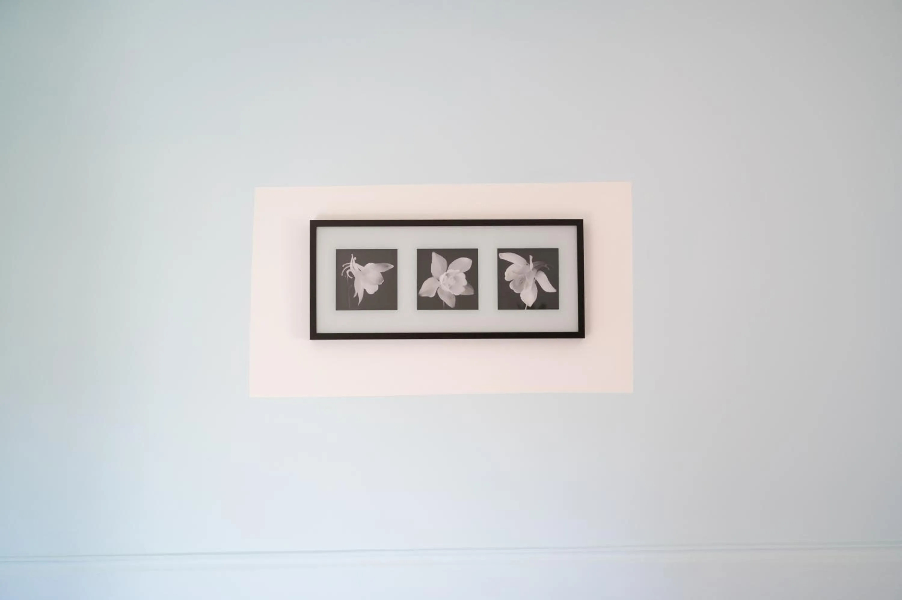 Agriturismo Casa Scola