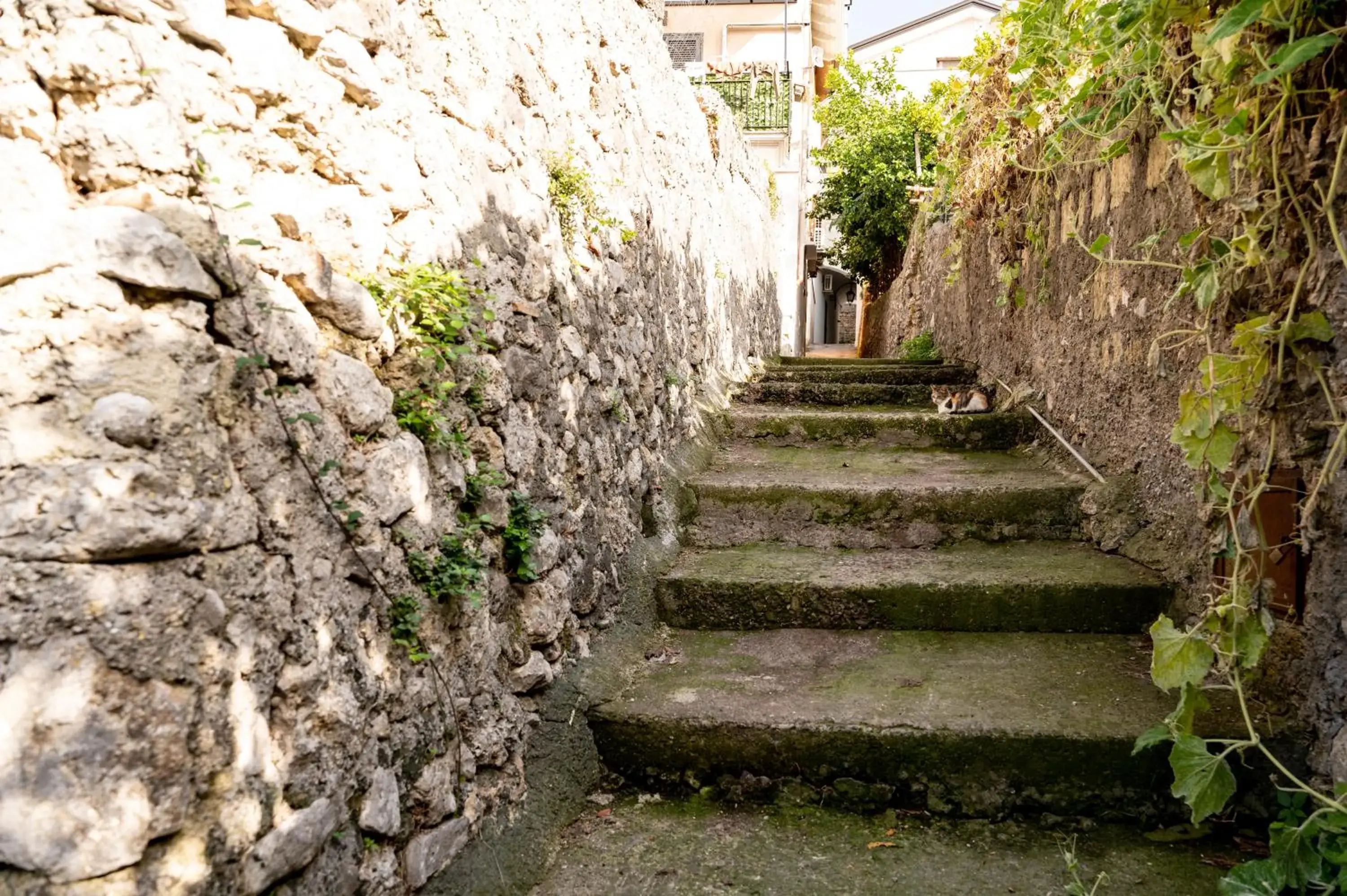 Apartment - Split Level in Agriturismo Casa Scola Apartment - Split Level in Agriturismo Casa Scola