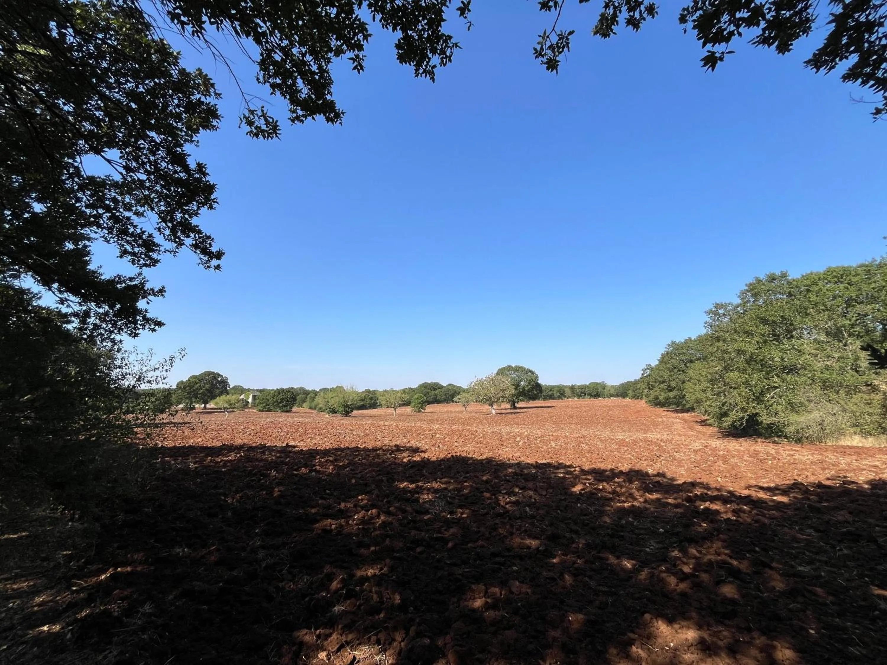 Natural landscape in Trullo Dimora Podere Papilio
