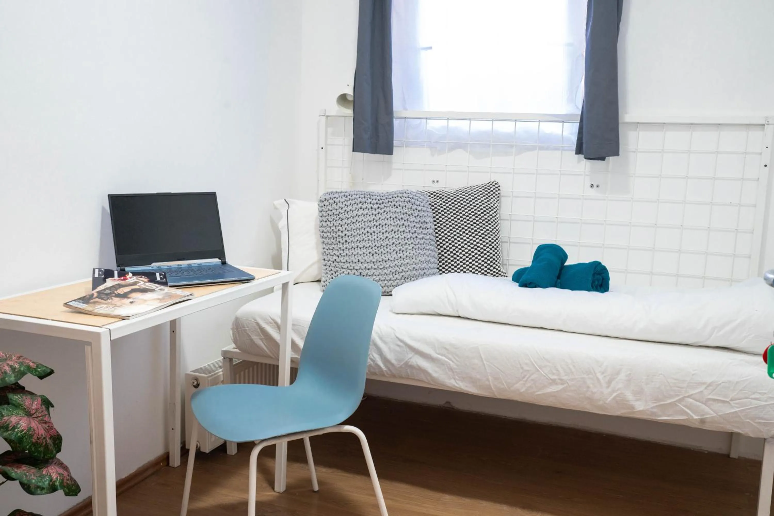 Bed in WOW City Hostel