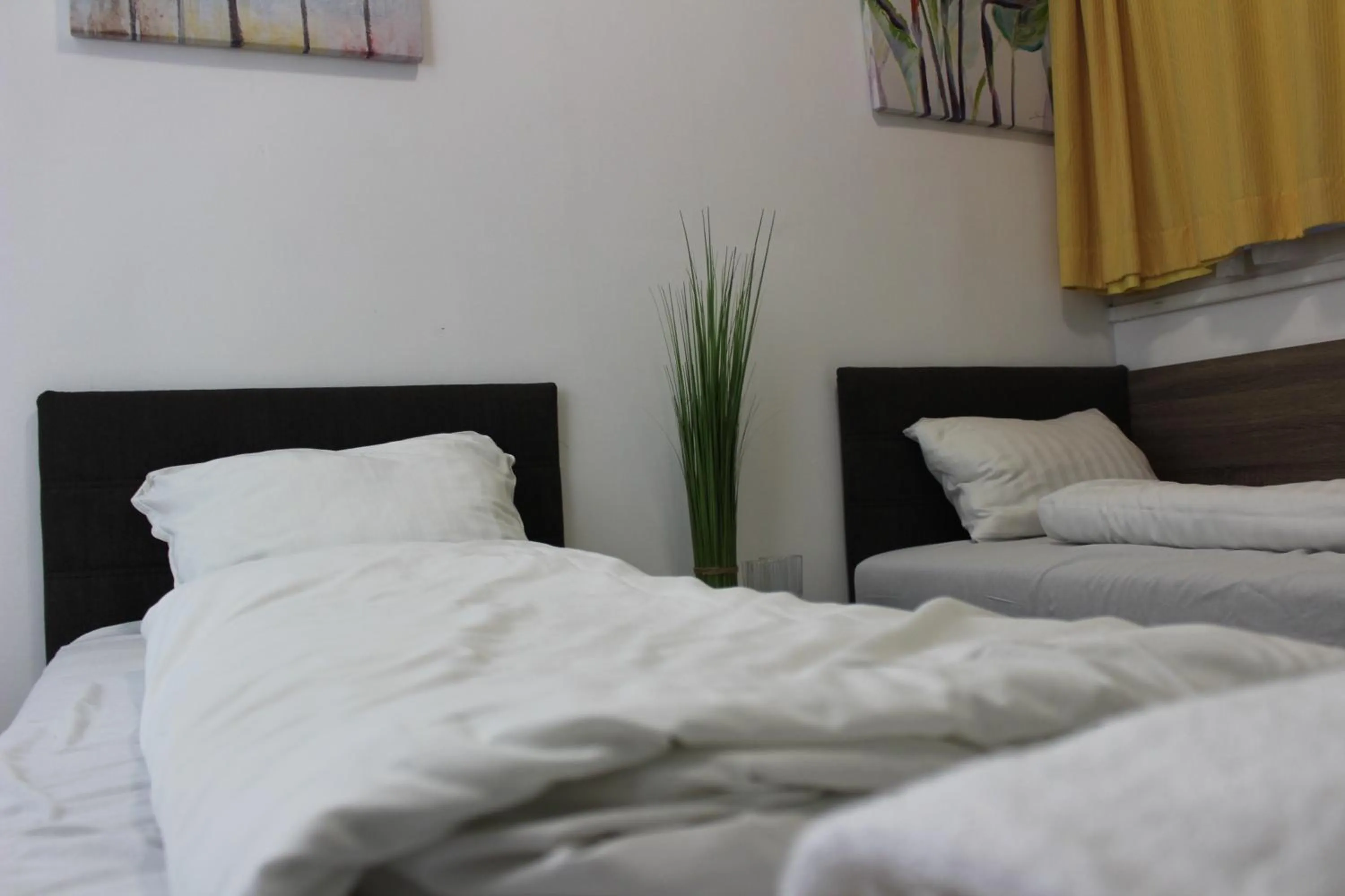 Bed in WOW City Hostel