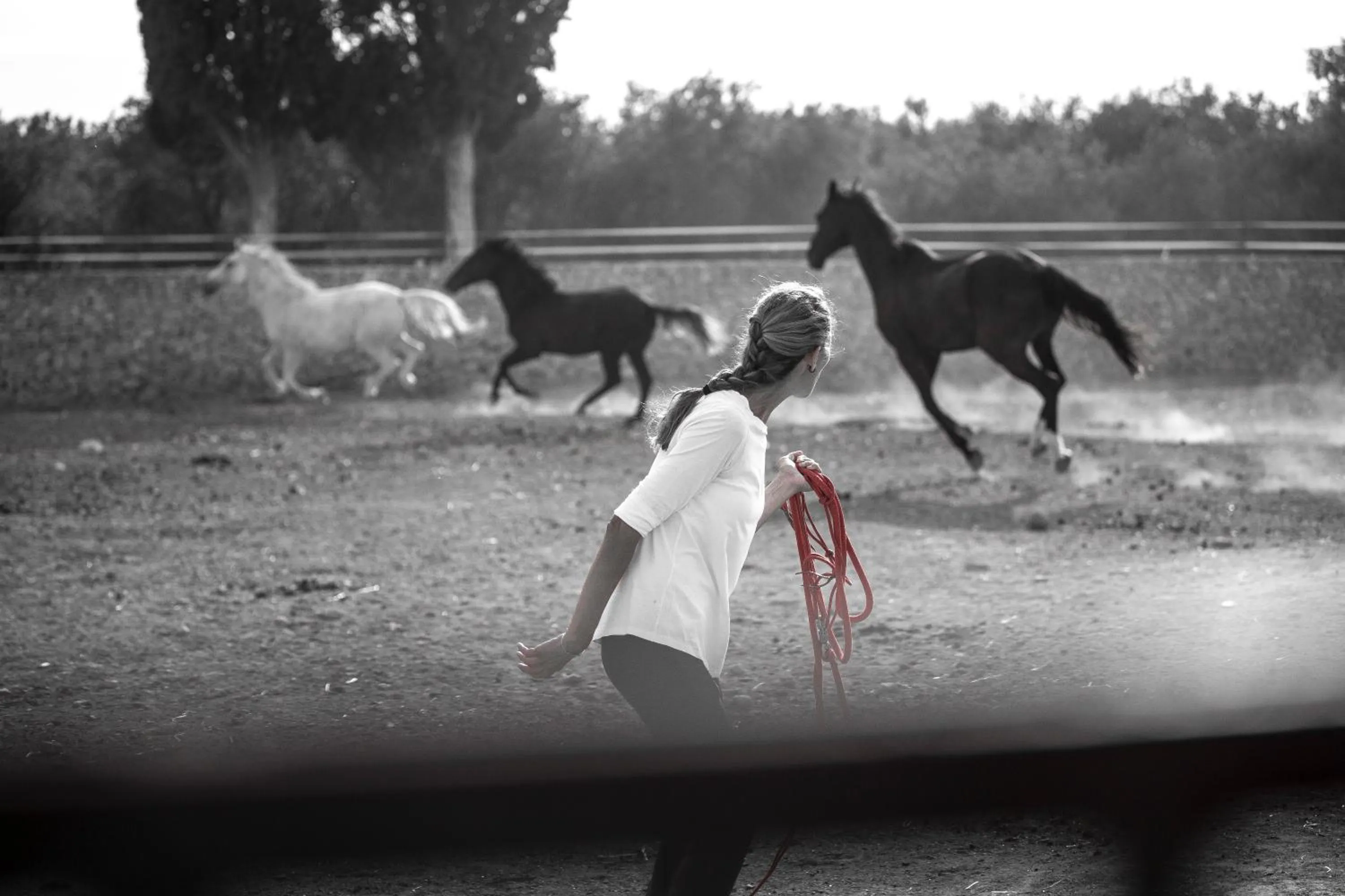 Animals in Masseria Prosperi