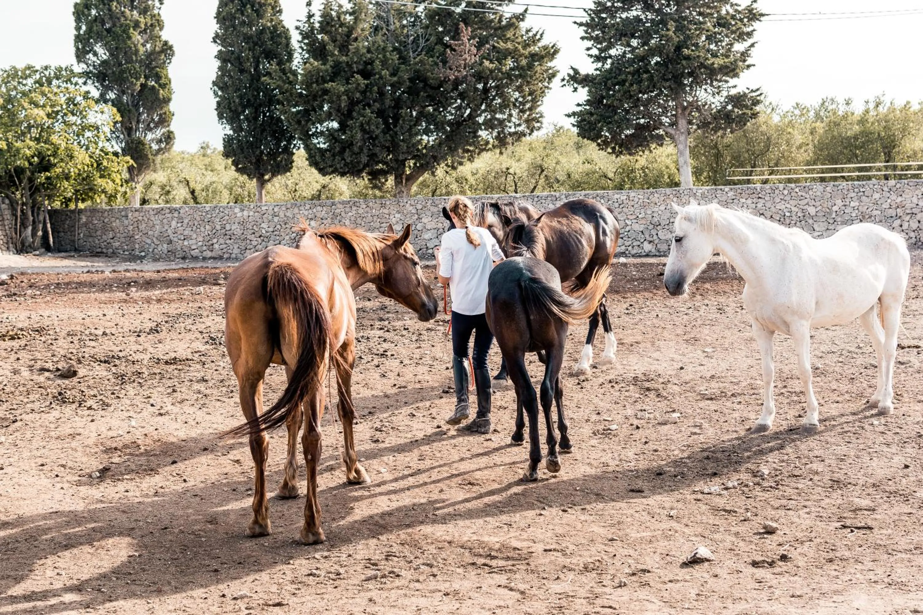 Horse-riding in Masseria Prosperi