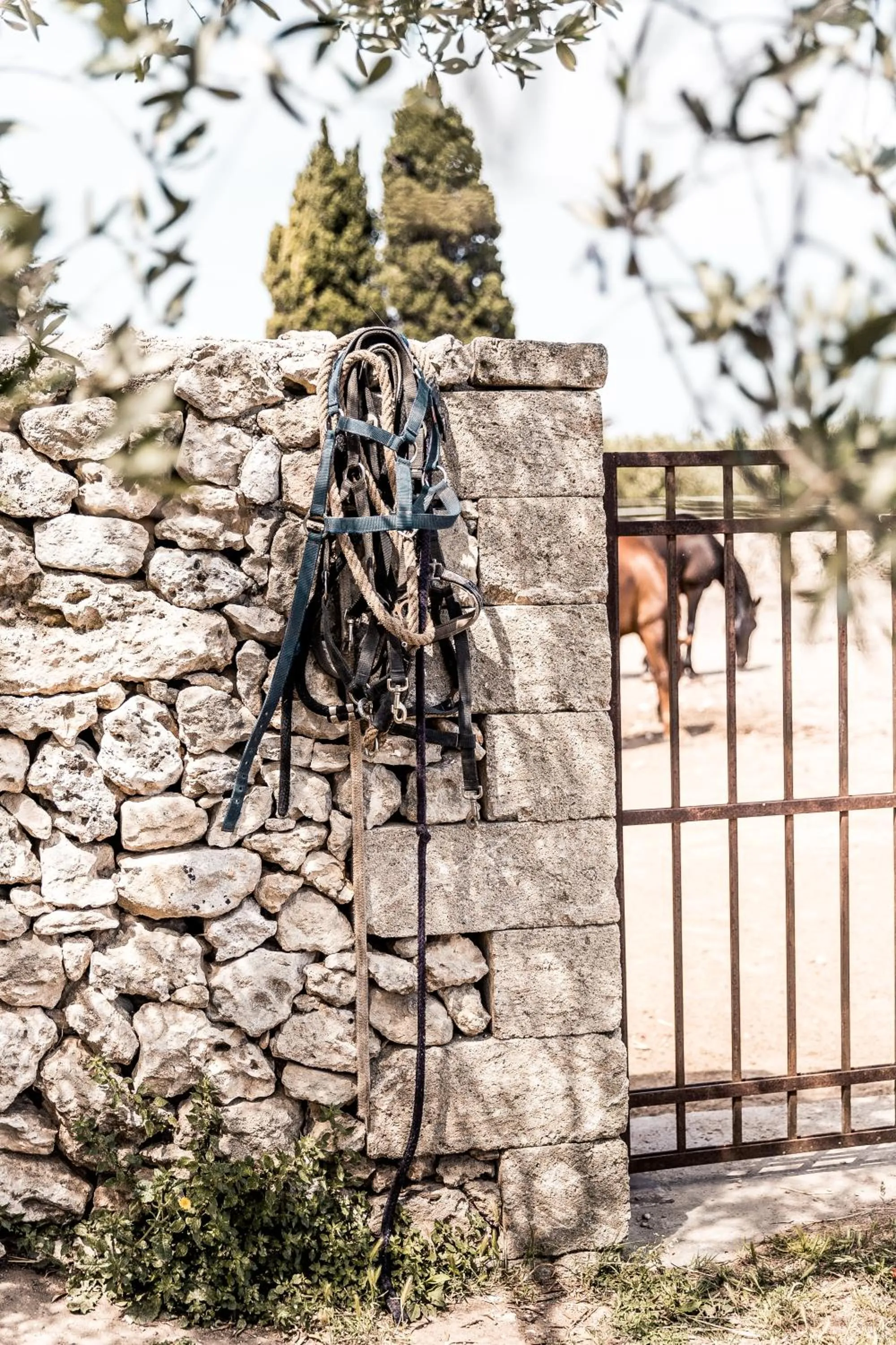Horse-riding in Masseria Prosperi