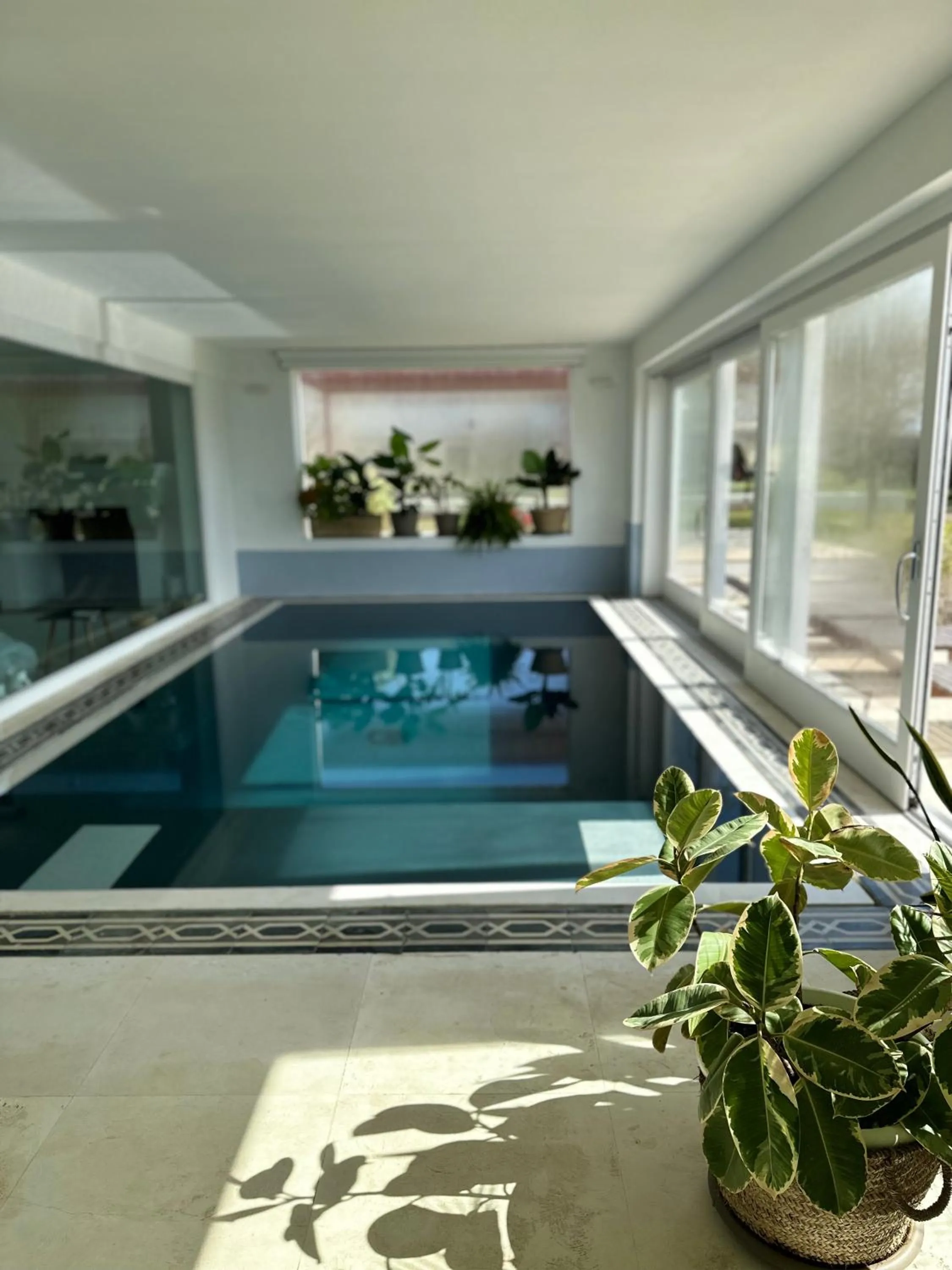 Swimming pool in Masseria Prosperi