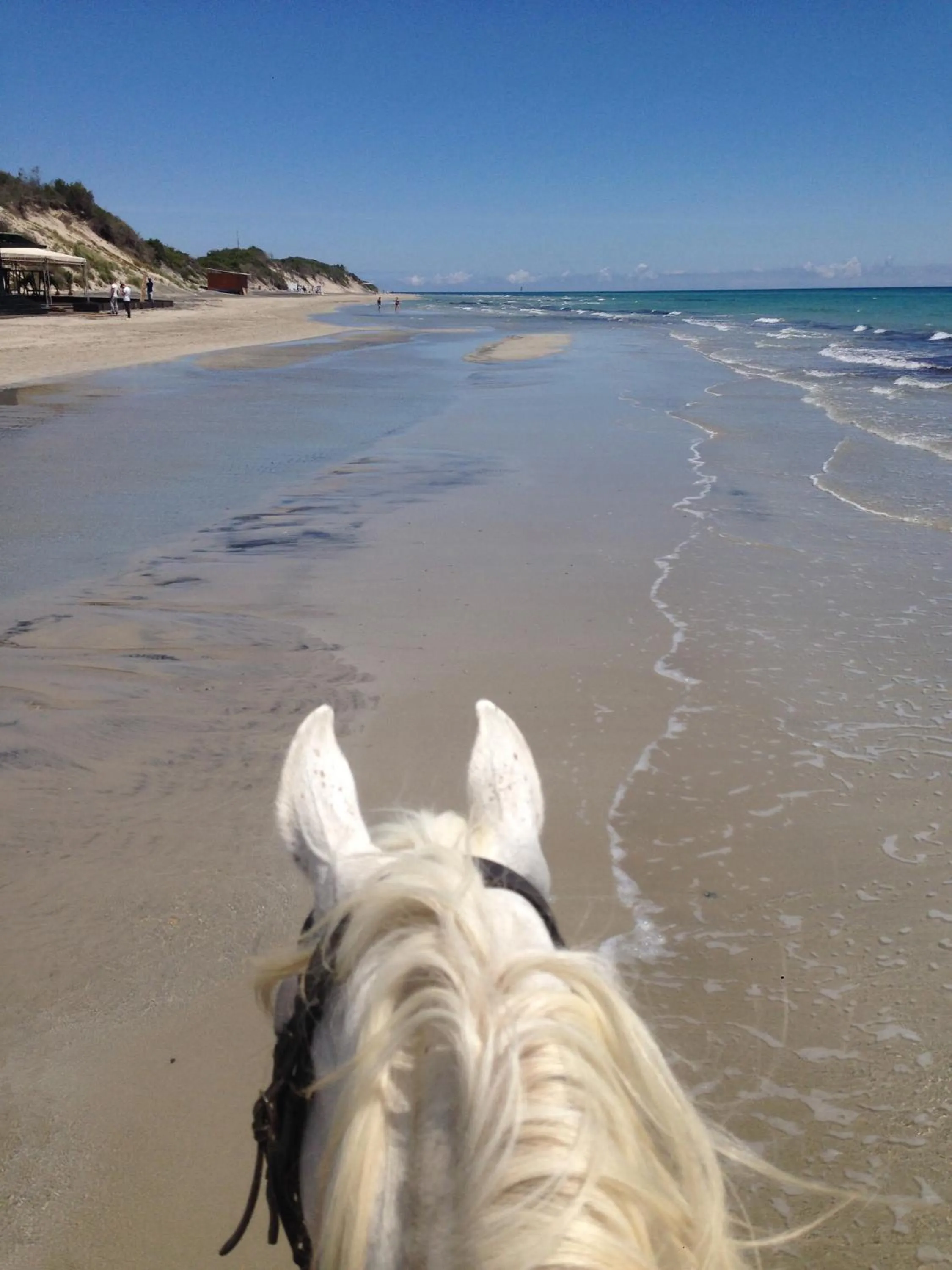Horse-riding in Masseria Prosperi