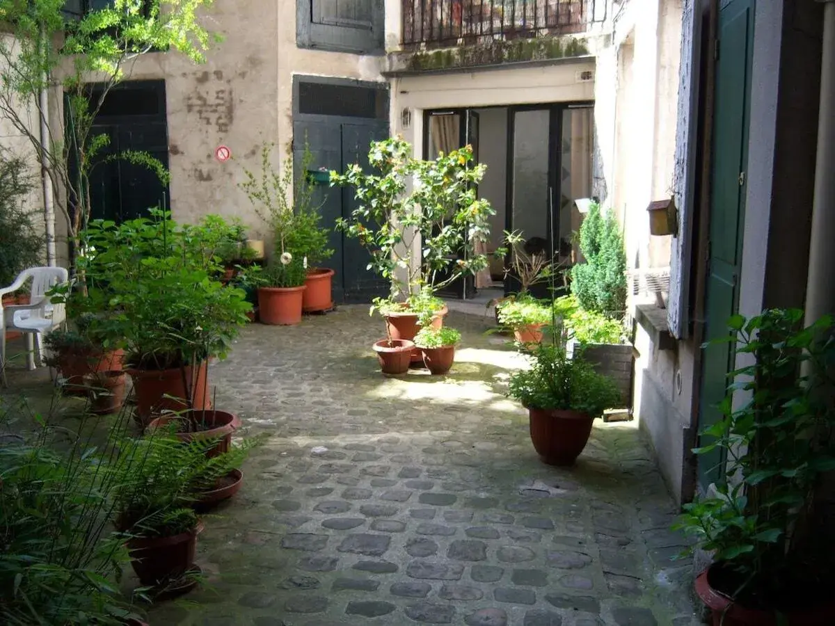 T2 sur cour au coeur des JO 2024 T2 sur cour au coeur des JO 2024