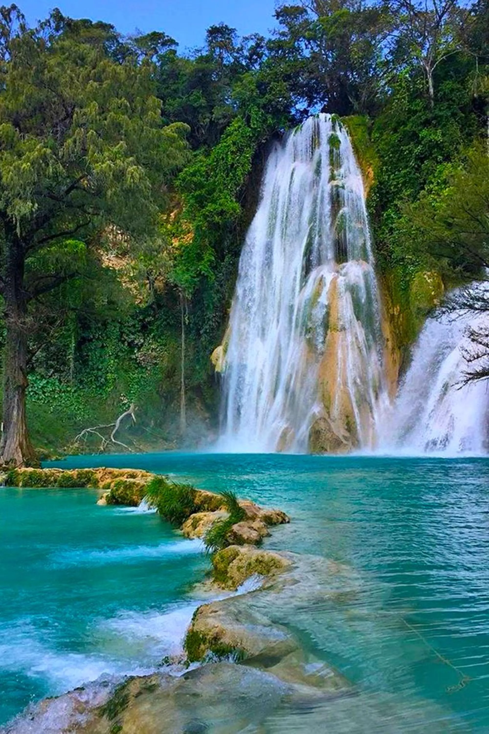 Natural landscape in Hotel Del Valle