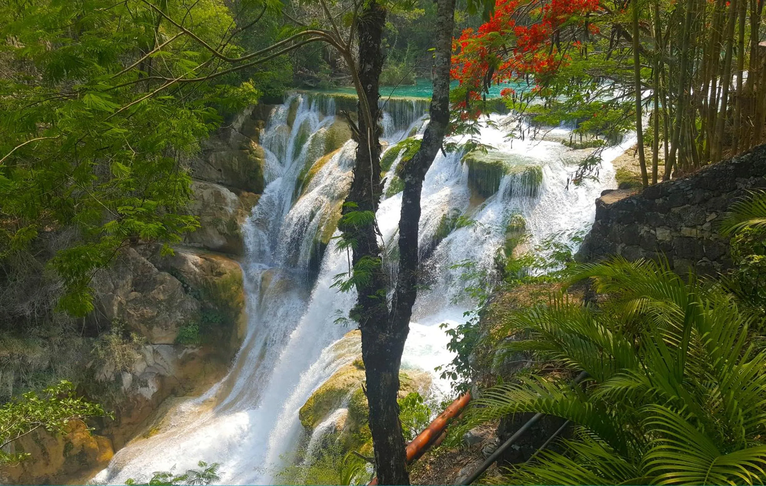 Natural landscape in Hotel Del Valle