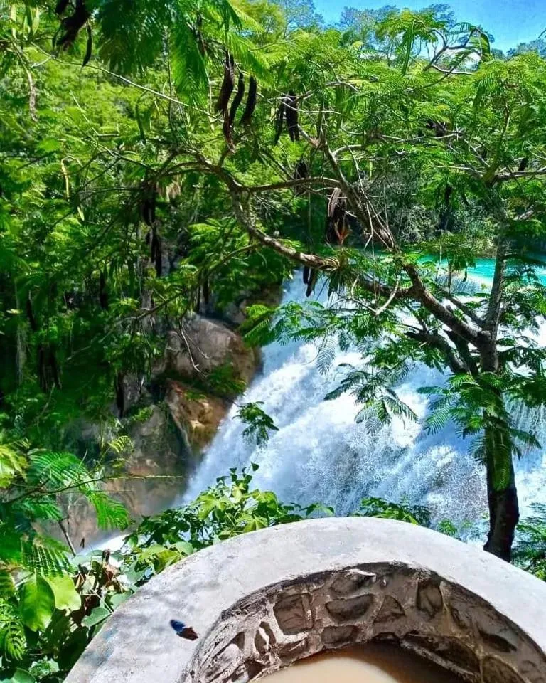 Natural landscape in Hotel Del Valle