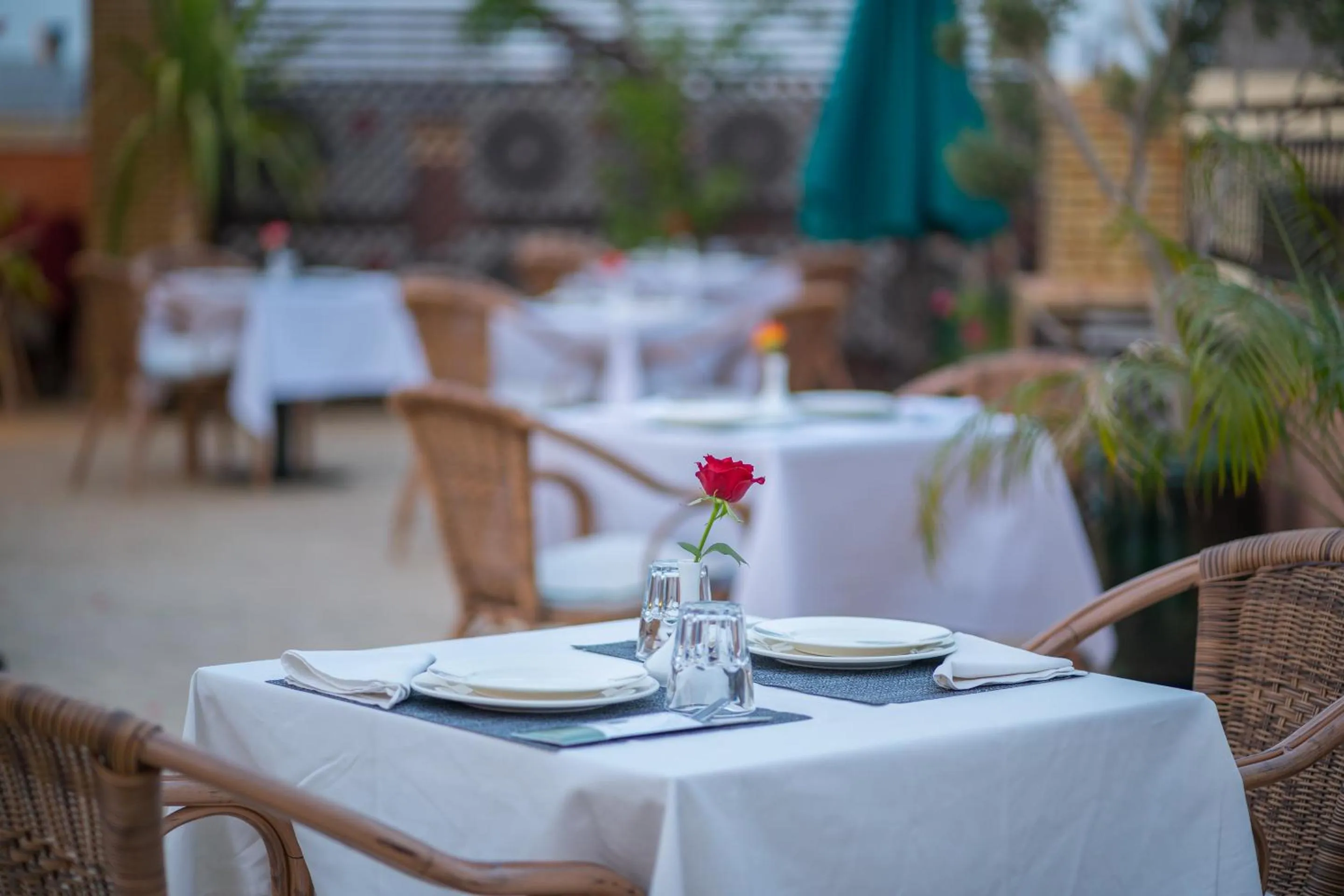 Restaurant/places to eat in Riad Atlas Palace & SPA