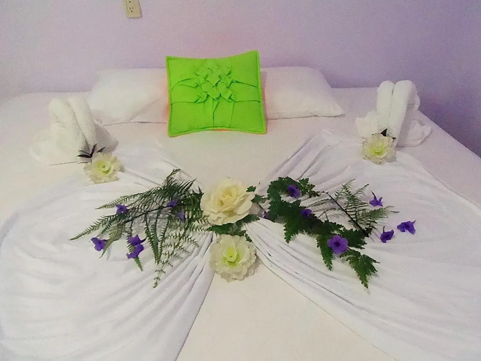 Single Room - single occupancy in Cabinas El Muellecito Single Room - single occupancy in Cabinas El Muellecito