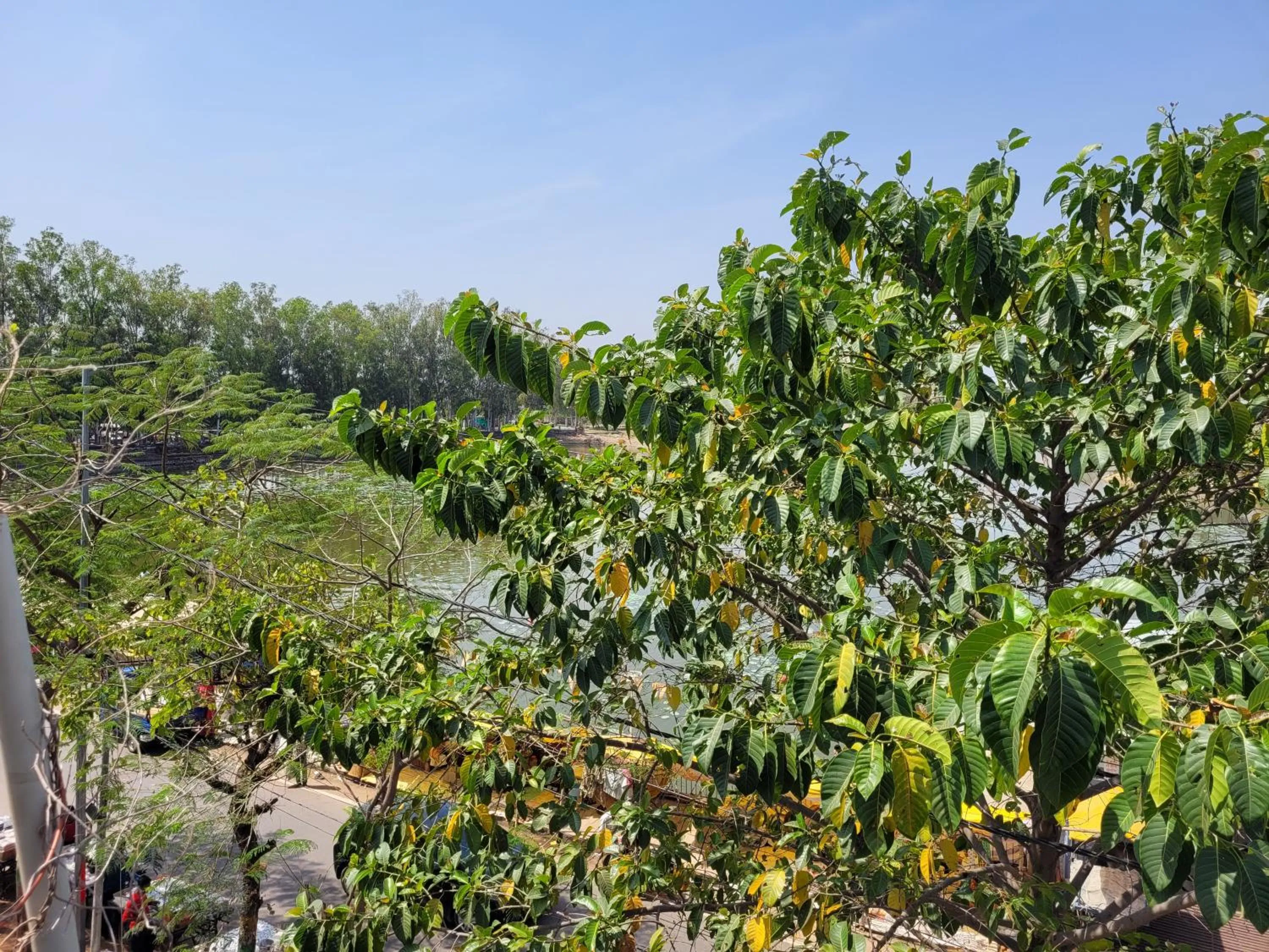 Garden in Hotel Lakeside