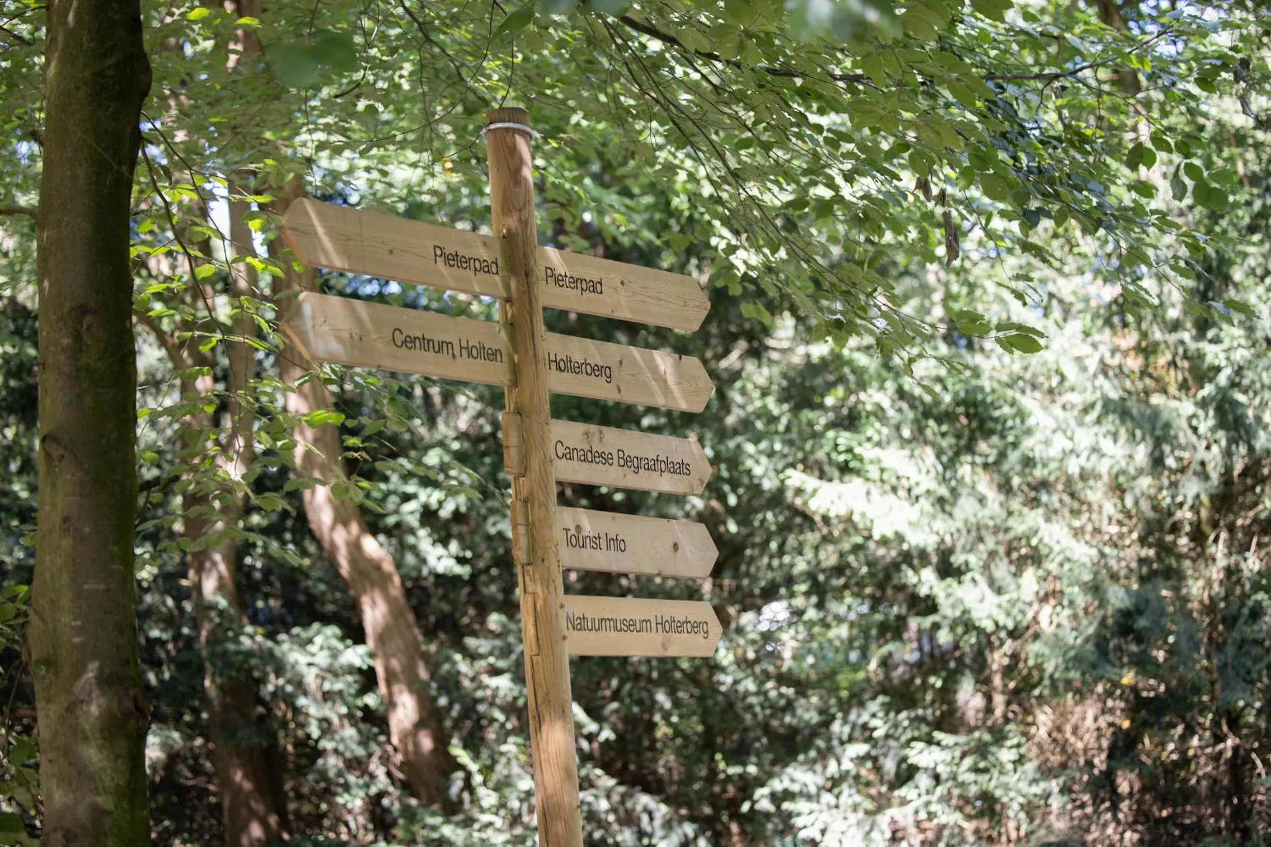 Area and facilities in Restaurant & Hotel Hoog Holten