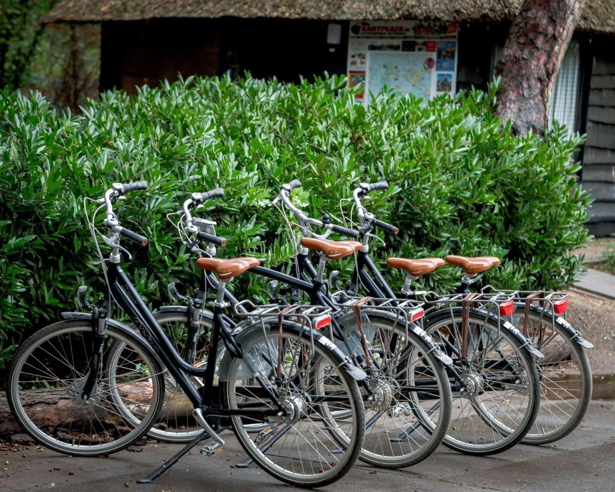 Cycling in Restaurant & Hotel Hoog Holten