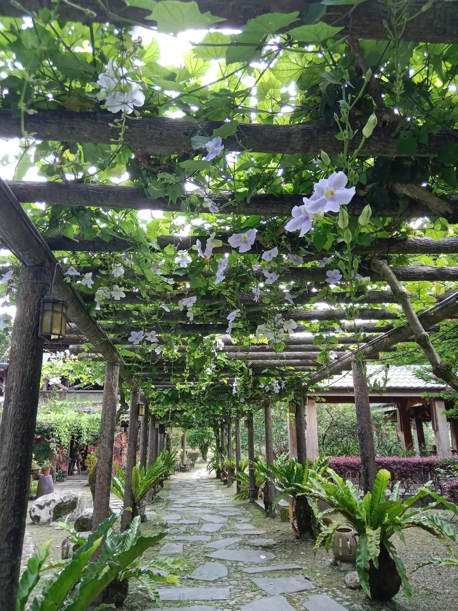 View (from property/room) in Country Grange B&B