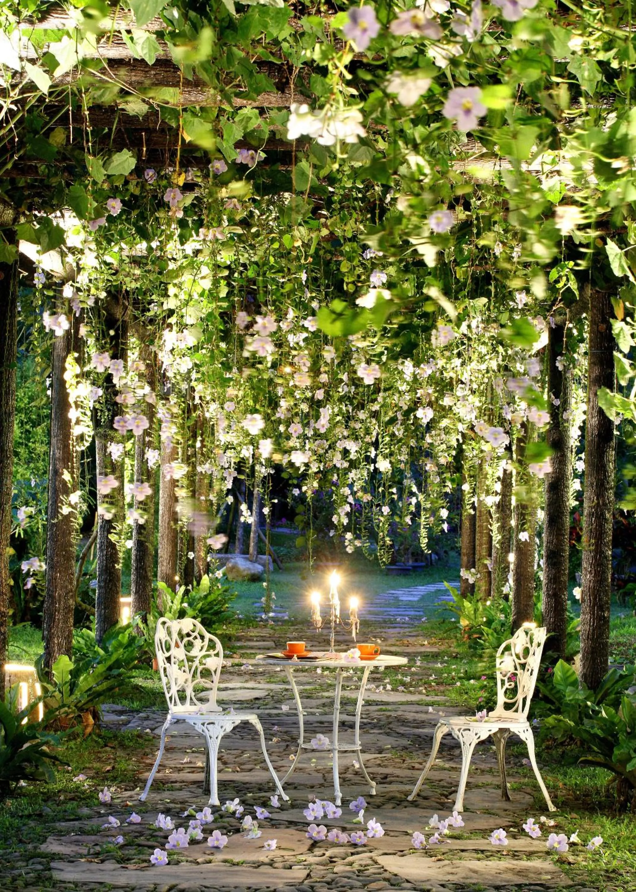 Garden in Country Grange B&B