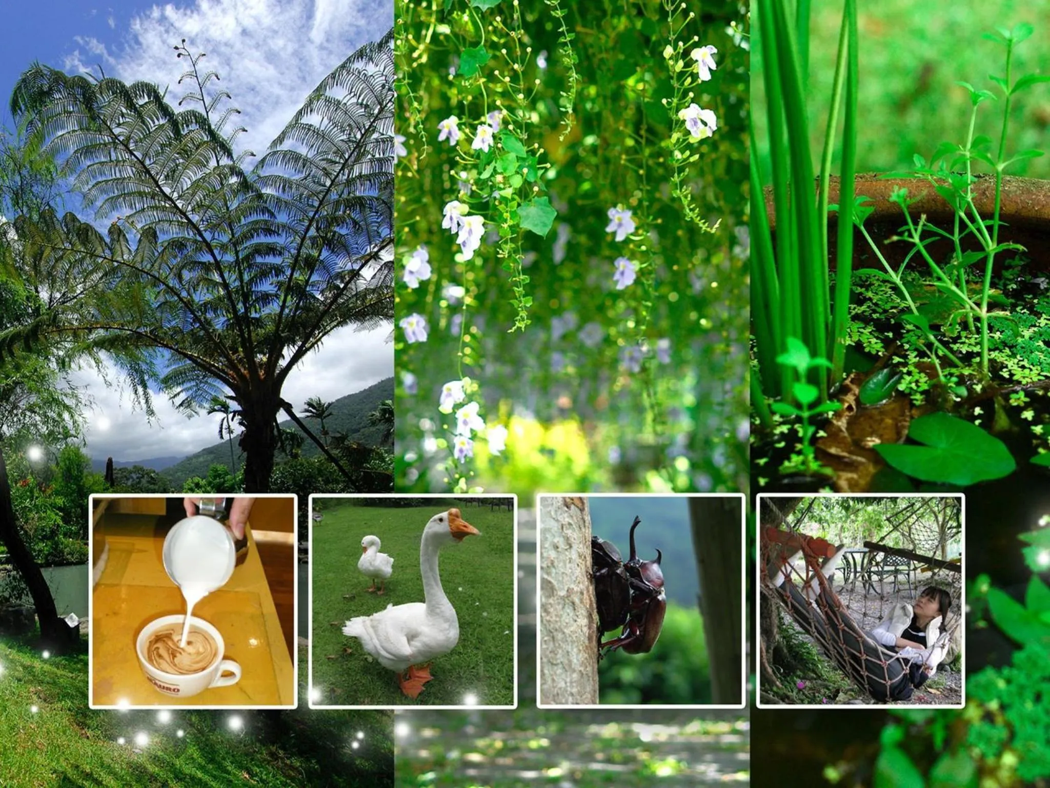 Decorative detail in Country Grange B&B