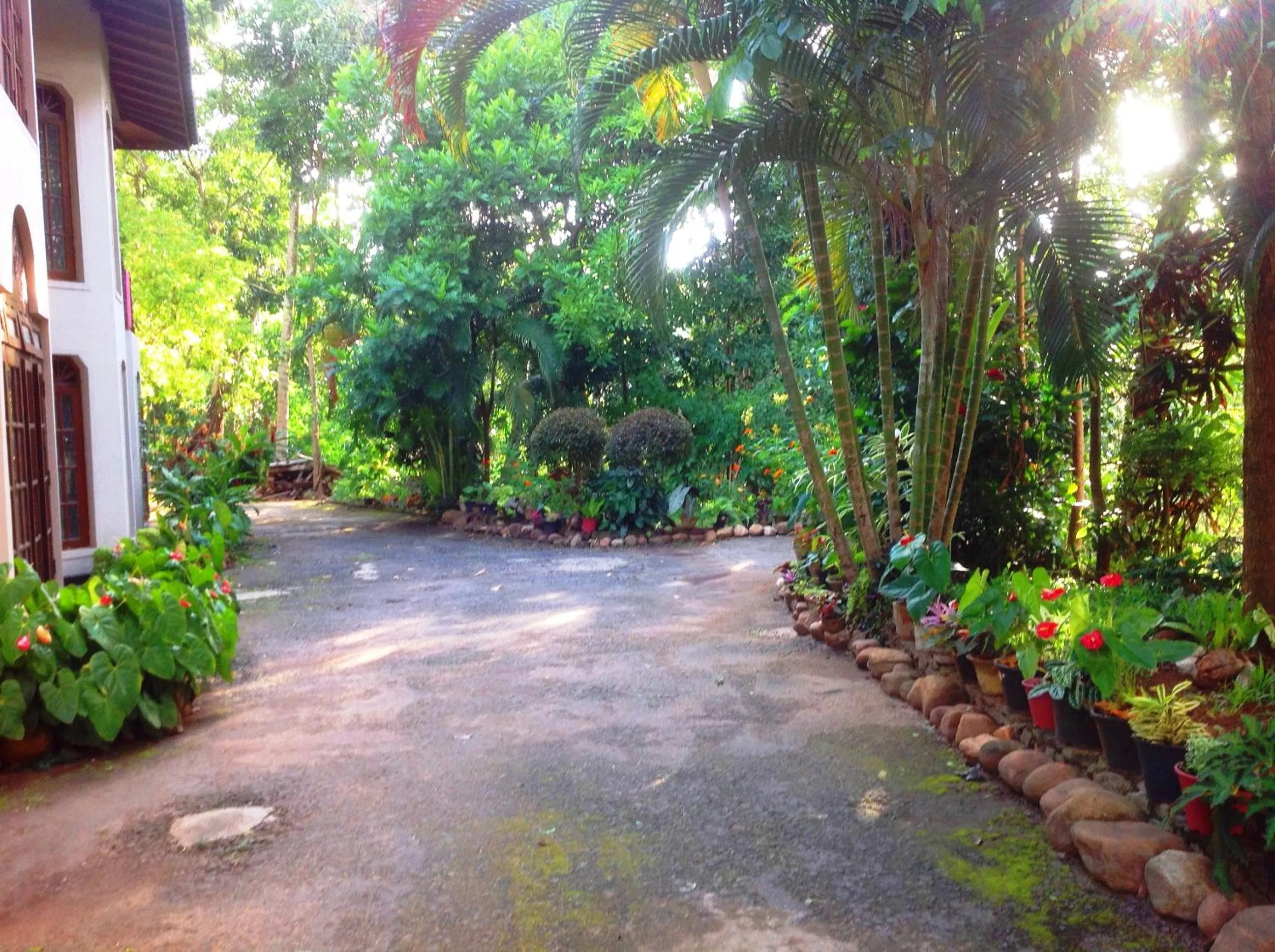 Garden in Tree Breeze Inn