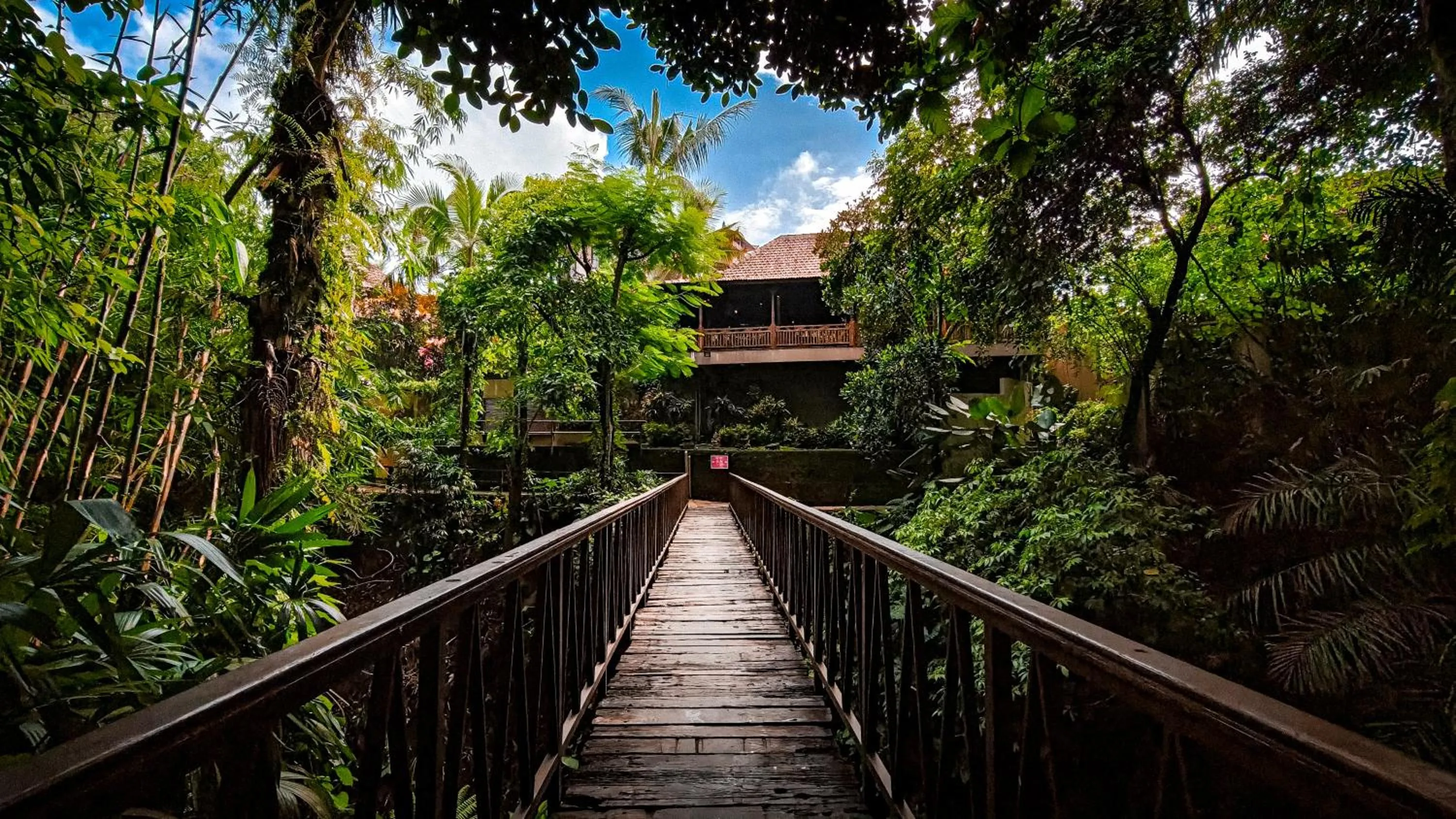 Natural landscape in Ubud Heaven Sayan