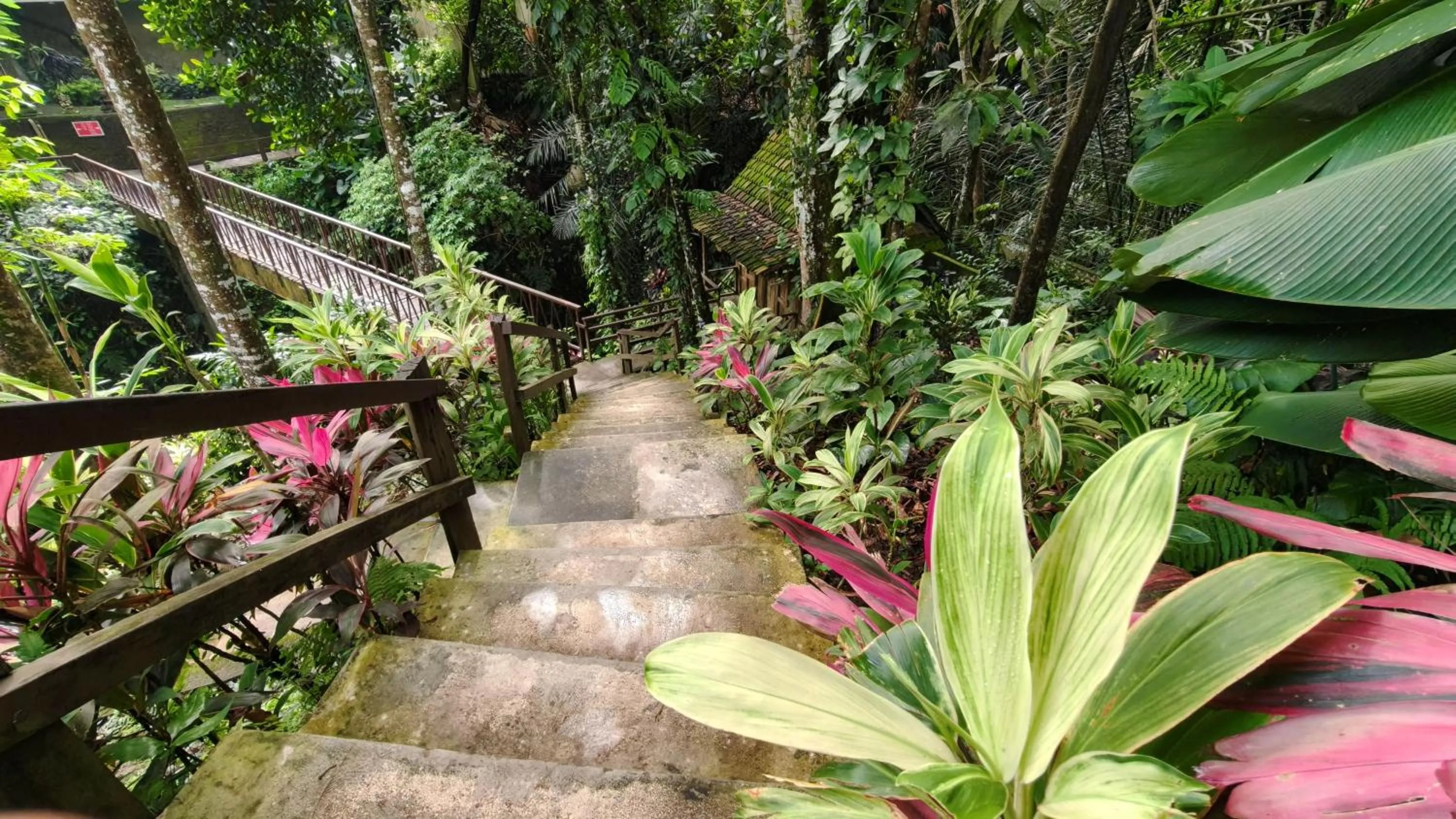 Natural landscape in Ubud Heaven Sayan