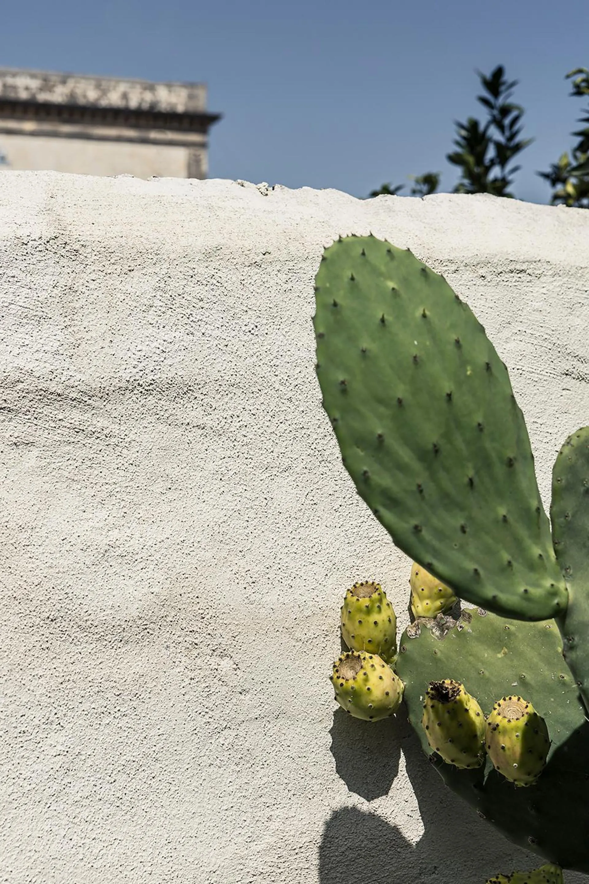 Garden in Don Totu - Dimora Storica