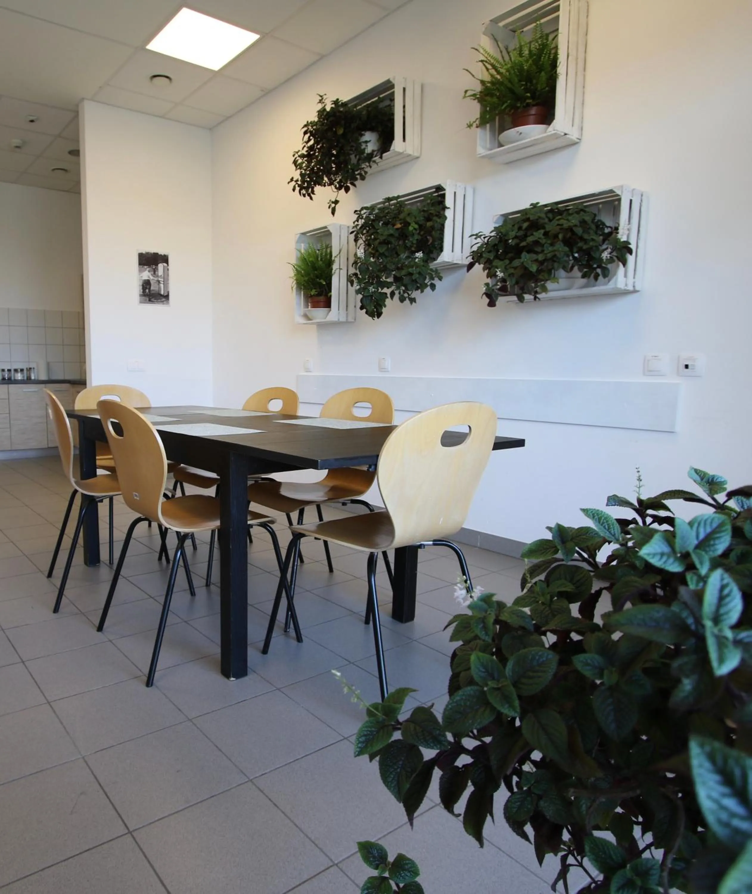 Communal kitchen in Hipodrom Sopot
